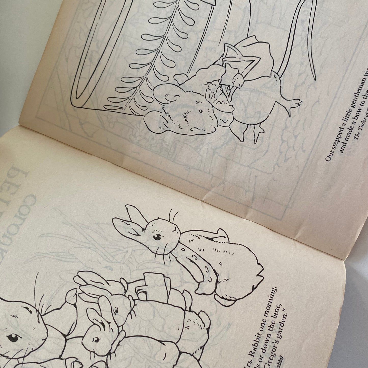 Peter Rabbit Colouring Book