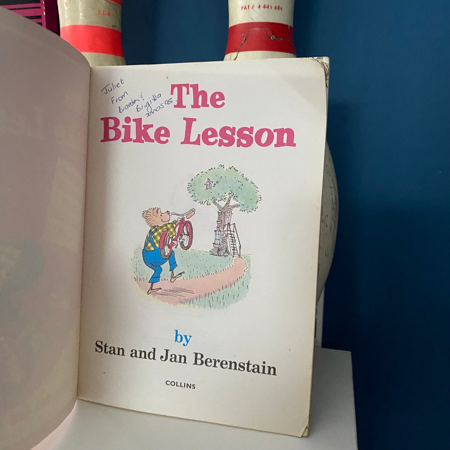 Vintage Dr Seuss The Bike Lesson Book
