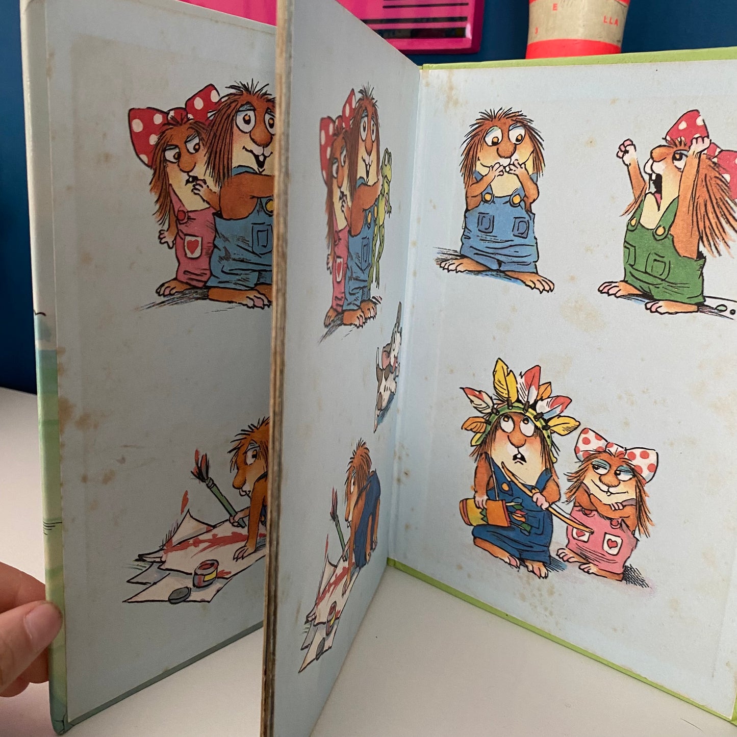 Mercer Mayer Little Critters The Trip Book