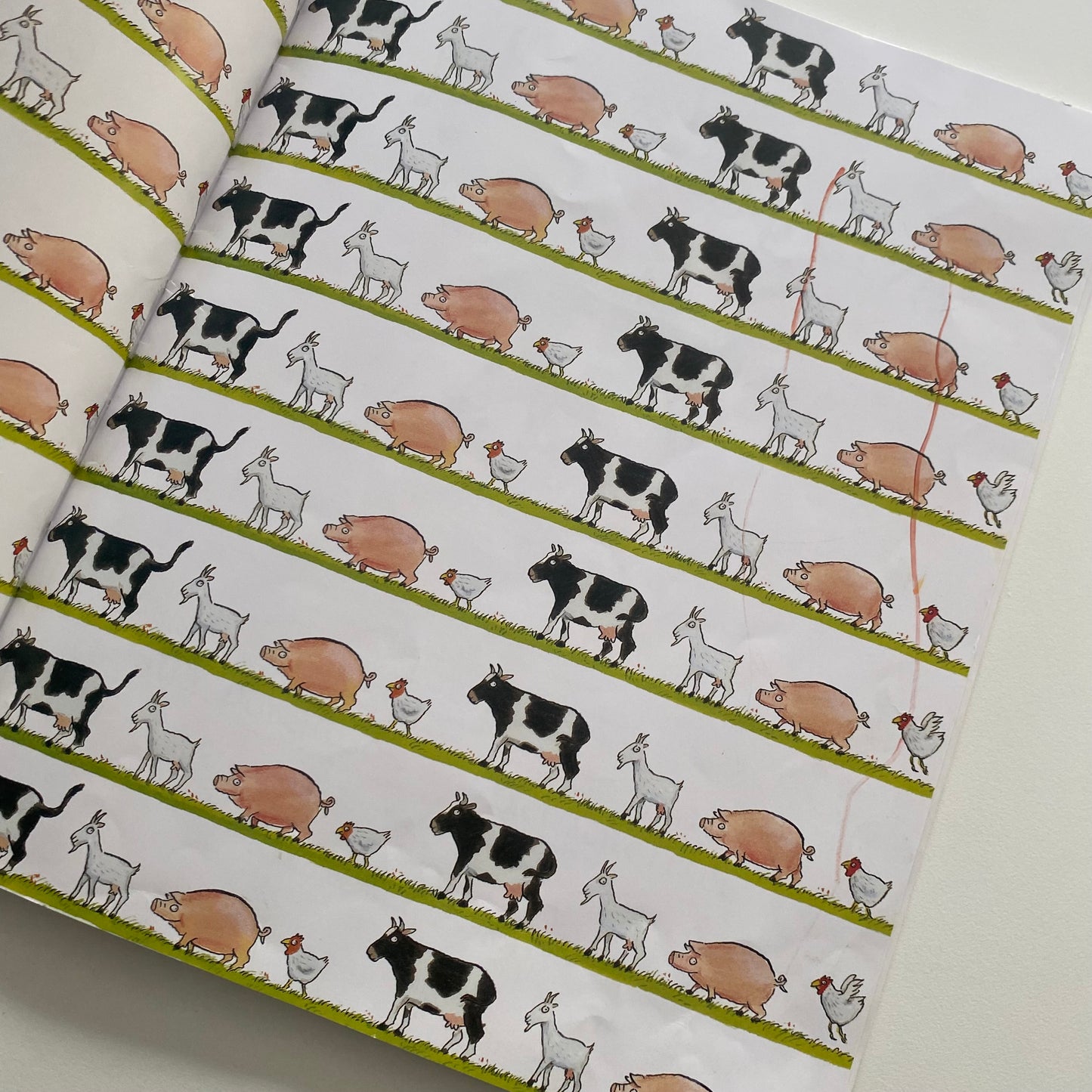 Julia Donaldson Axel Scheffler A Squash & A Squeeze Book