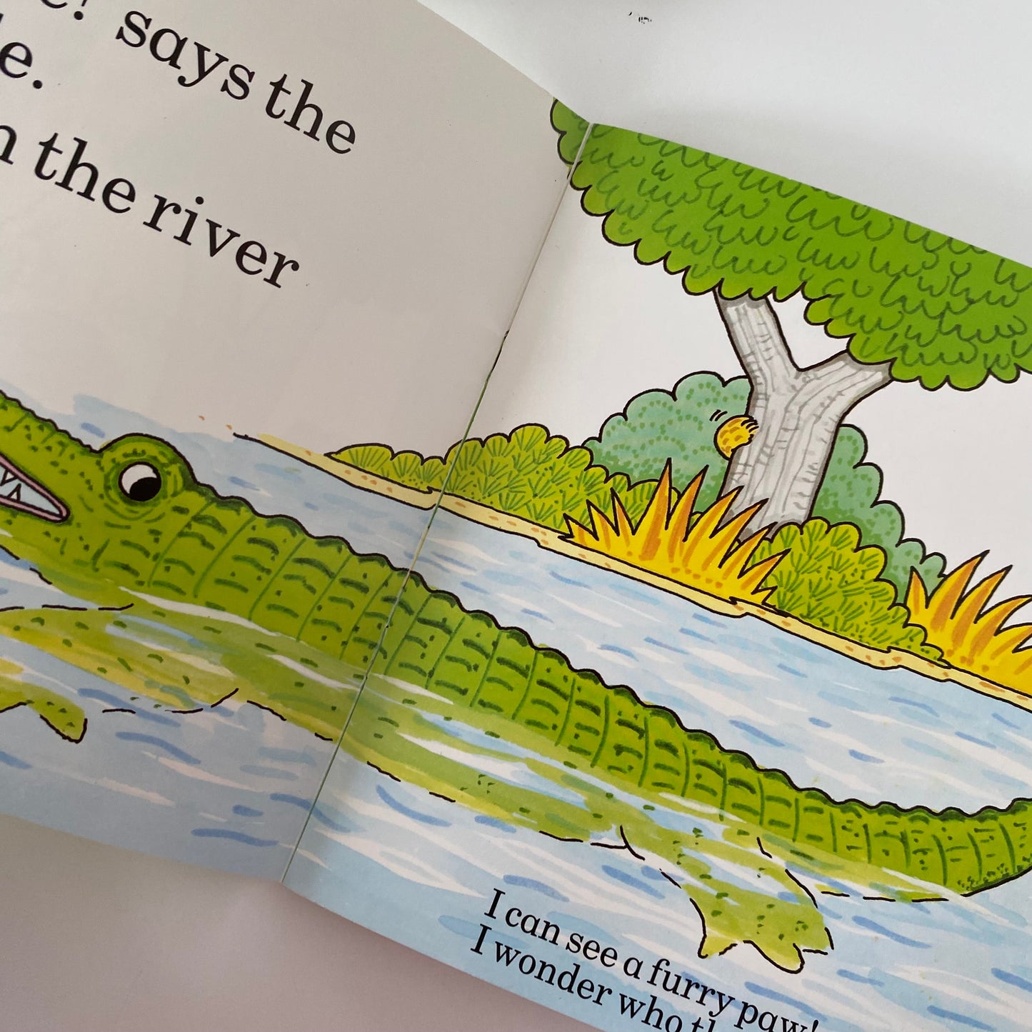 Rod Campbell It’s Mine! Book
