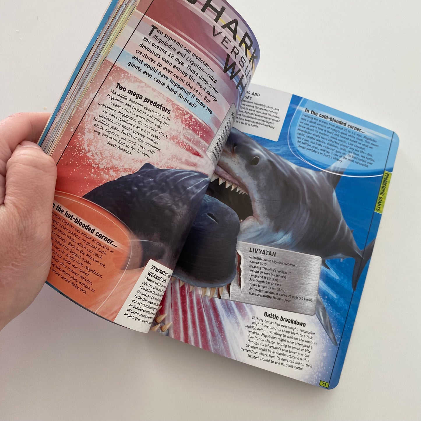 Discovery MEGA World Mini Book