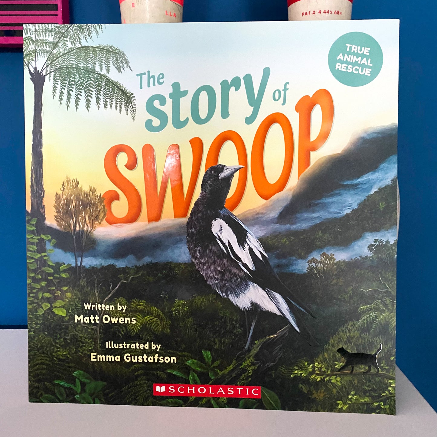 The Story Of Swoop Book