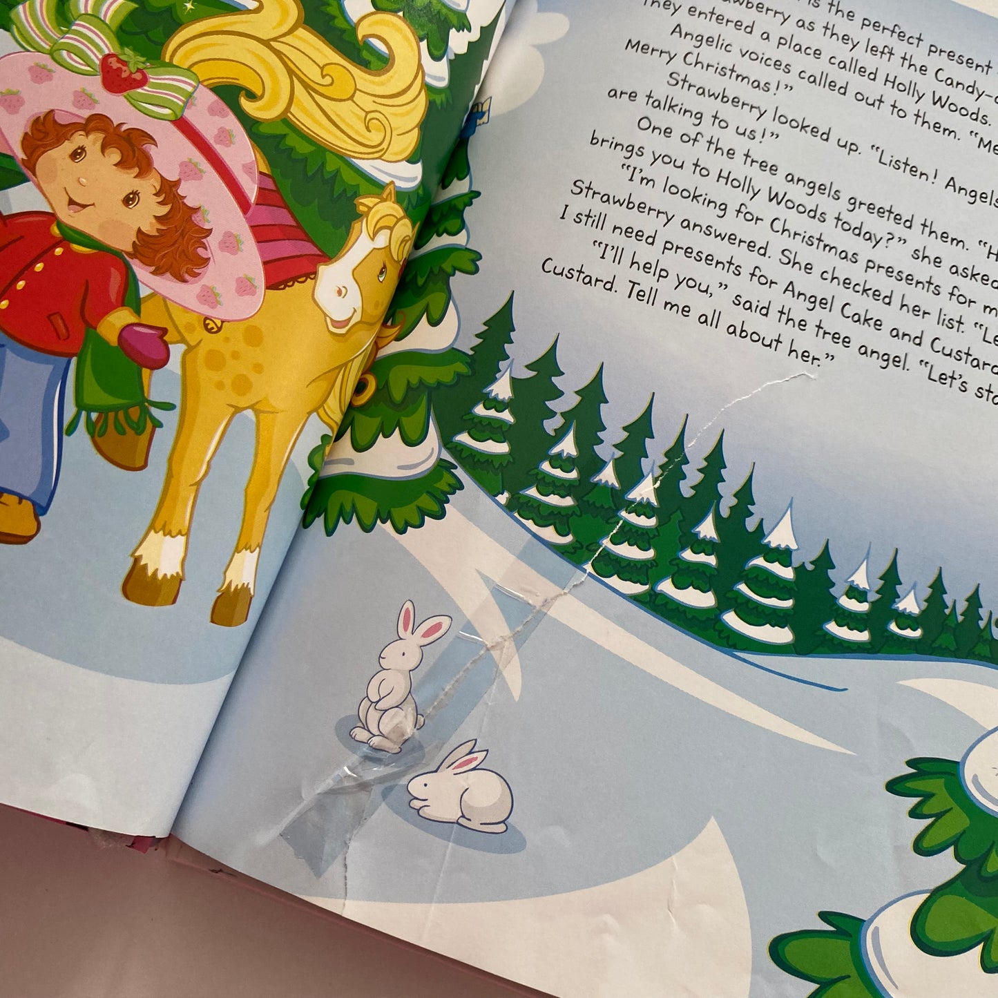 Strawberry Shortcake Christmas Book (FLAWS)