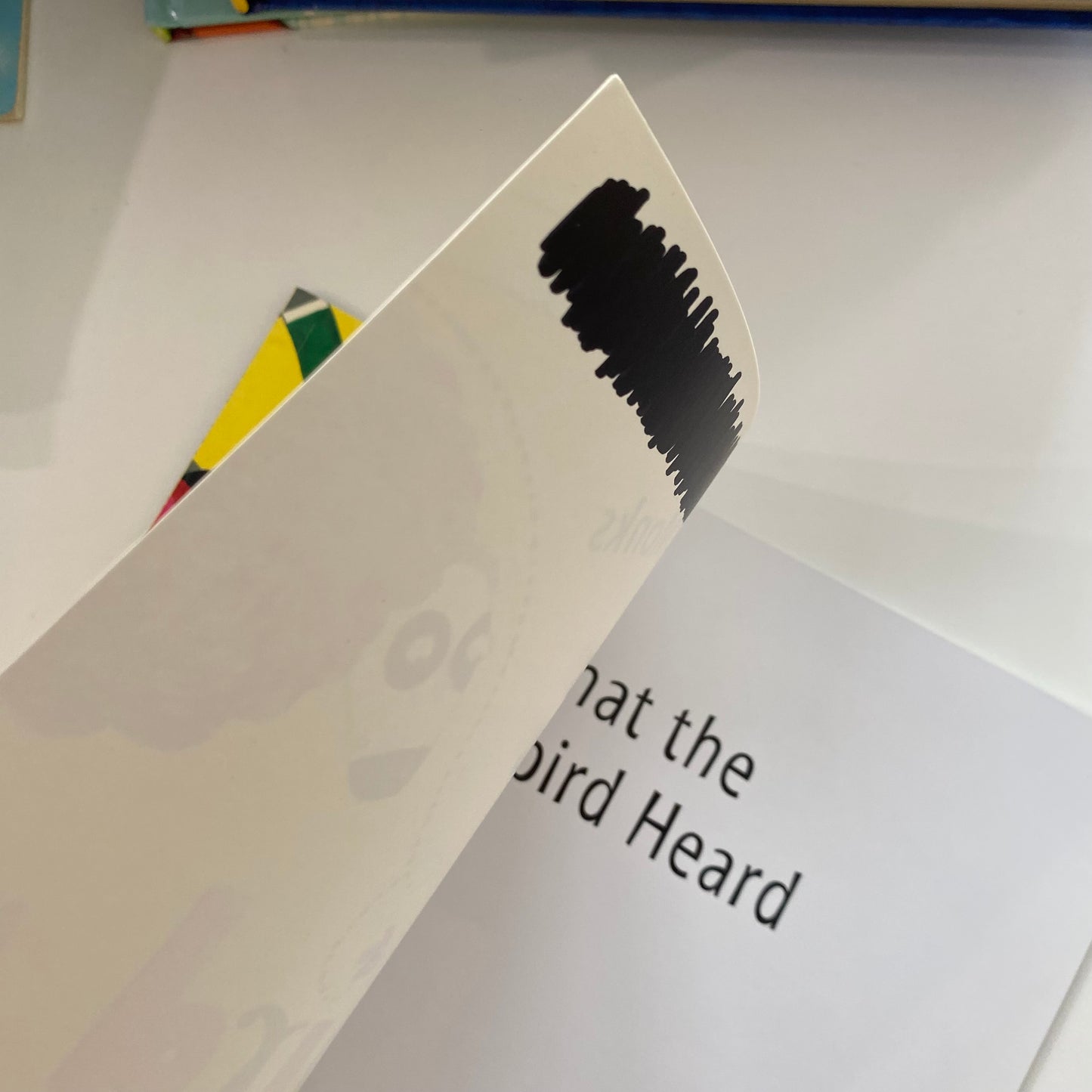 Julia Donaldson Lydia Monks What The Ladybird Heard Book