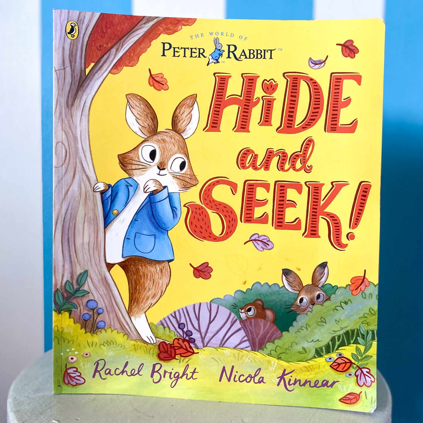 Peter Rabbit Hide & Seek Book