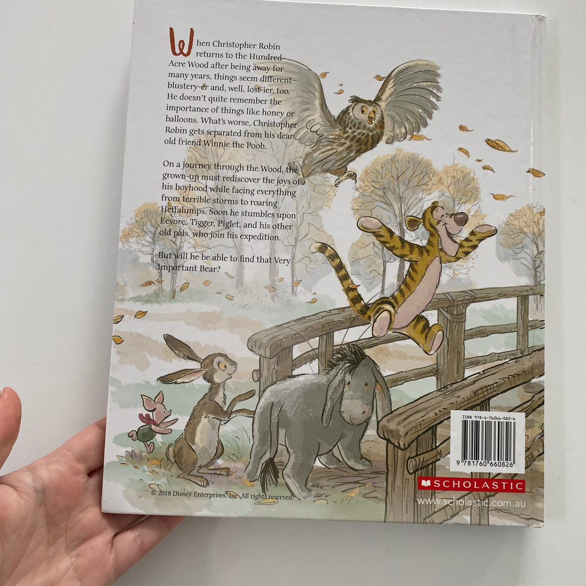 Disney Winnie The Pooh A Boy, A Bear, A Balloon Book