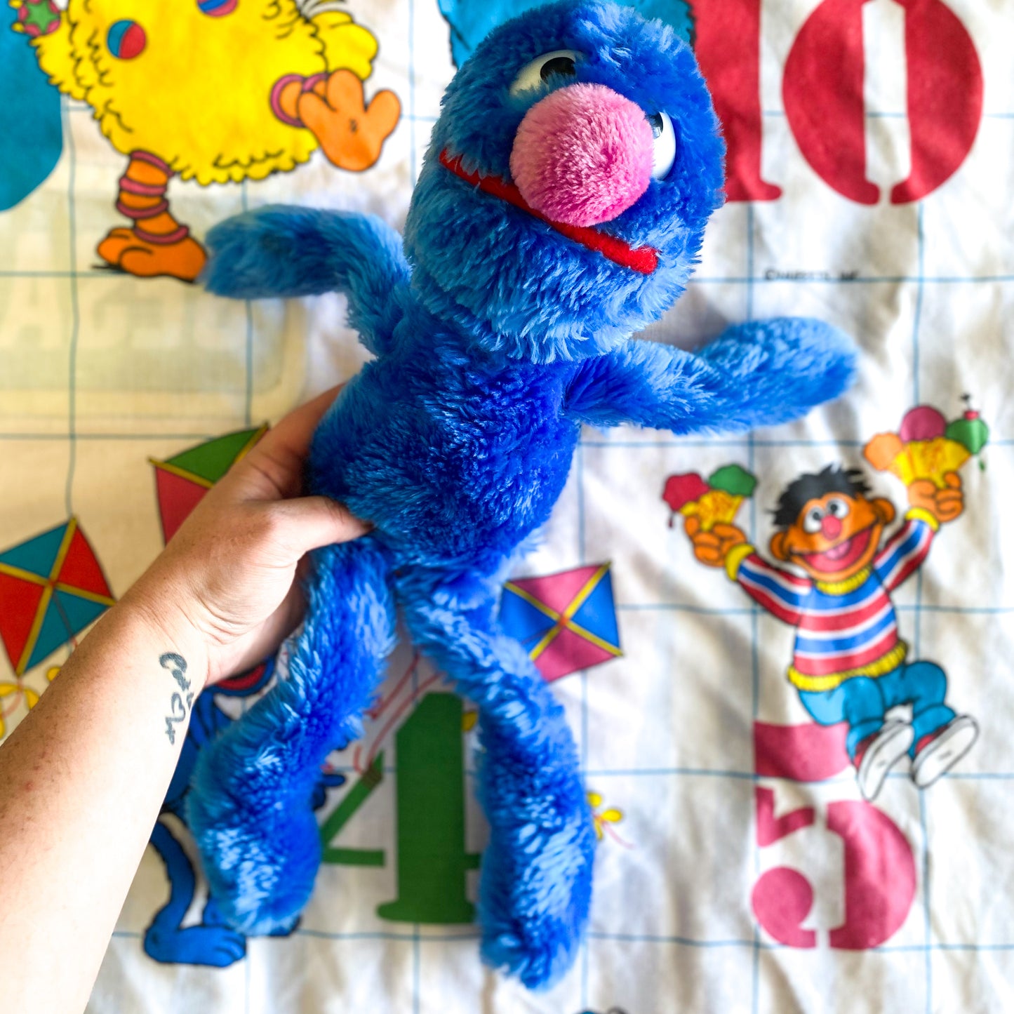 Sesame Street Grover Plush