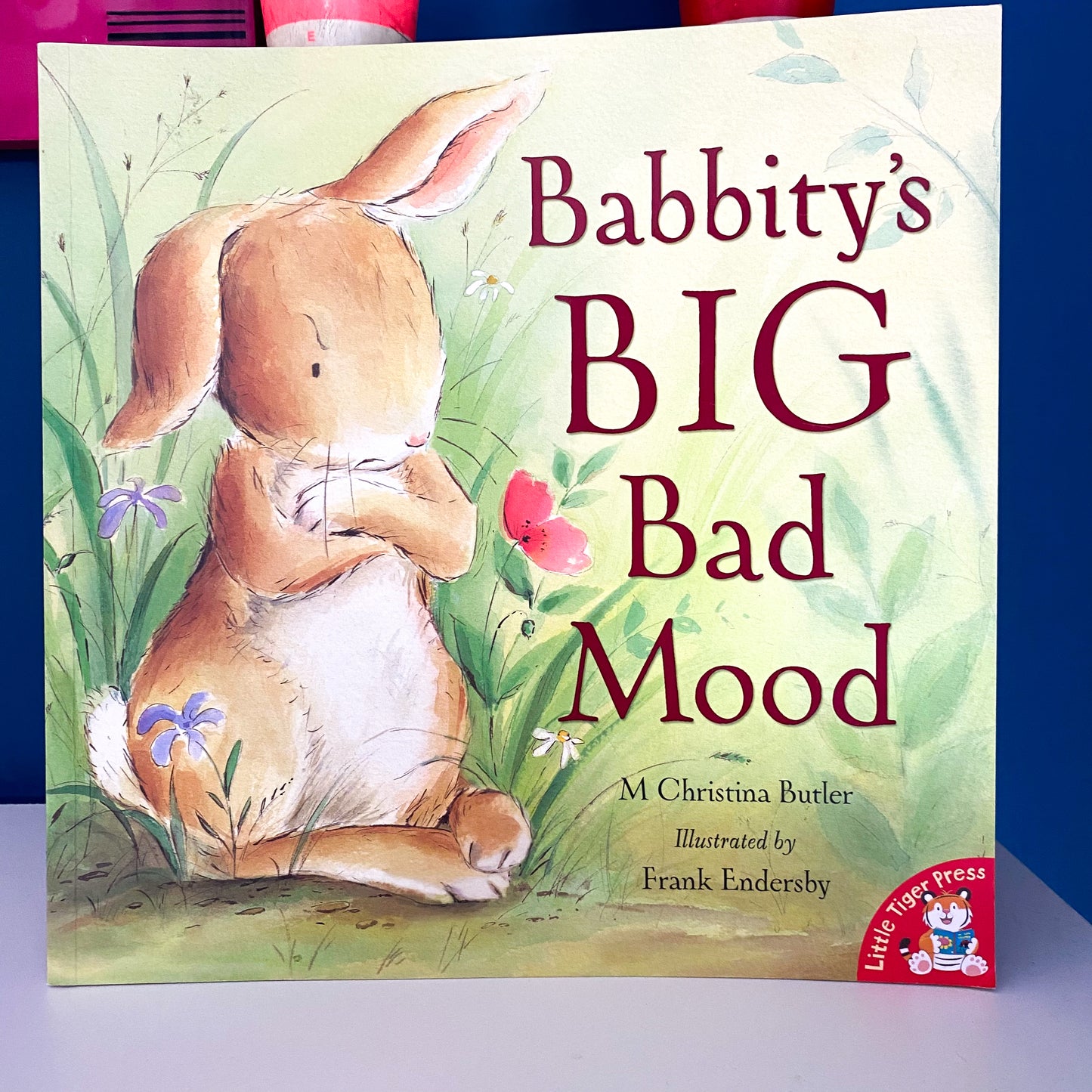 Bibbity’s Big Bad Mood Book