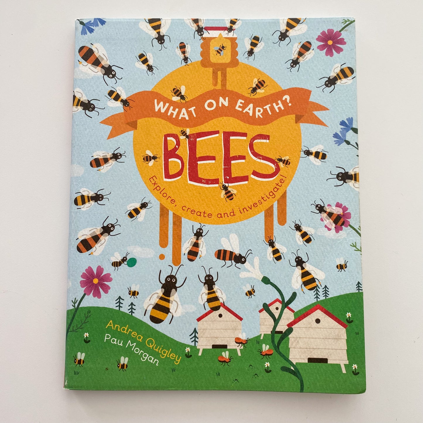 What On Earth? Bees Book