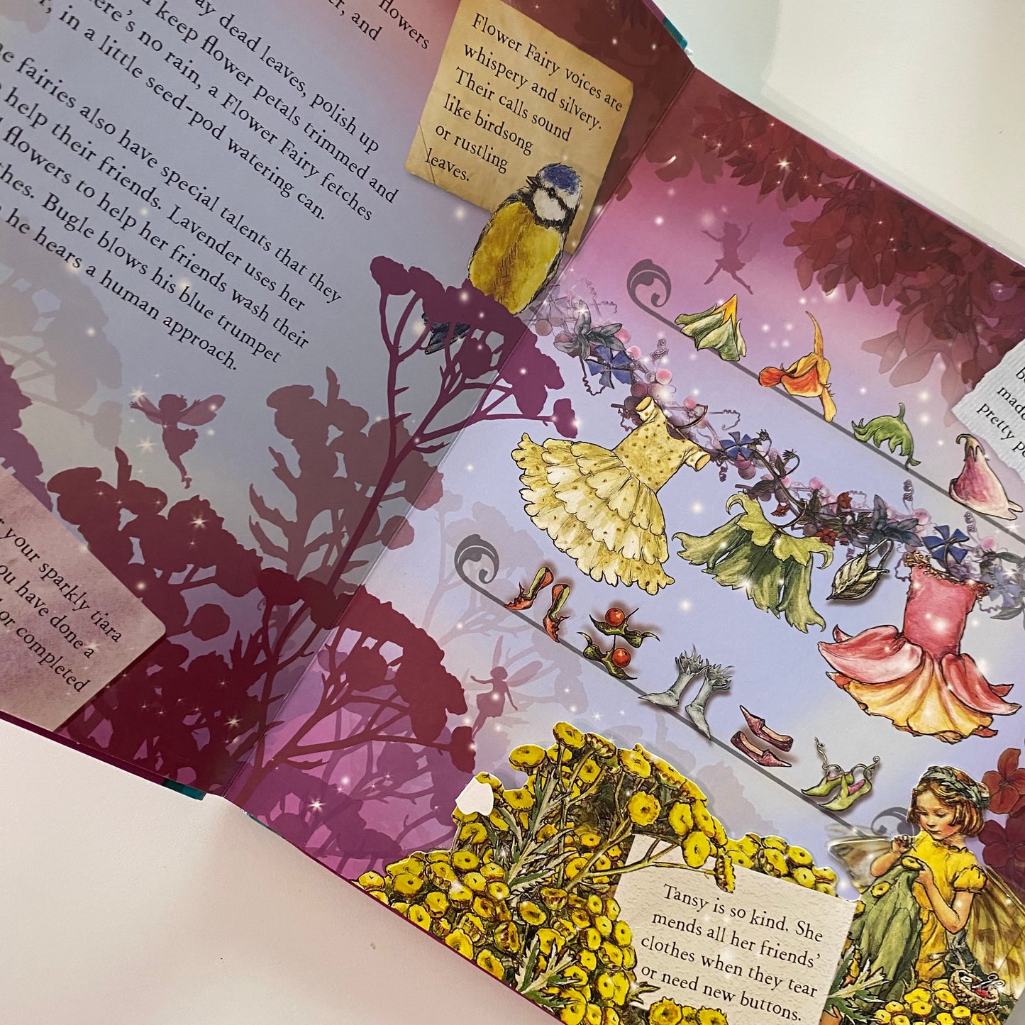 Flower Fairies Sparkle Like A Flower Fairy Book