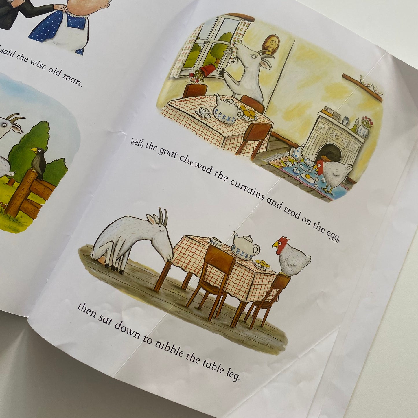 Julia Donaldson Axel Scheffler A Squash & A Squeeze Book