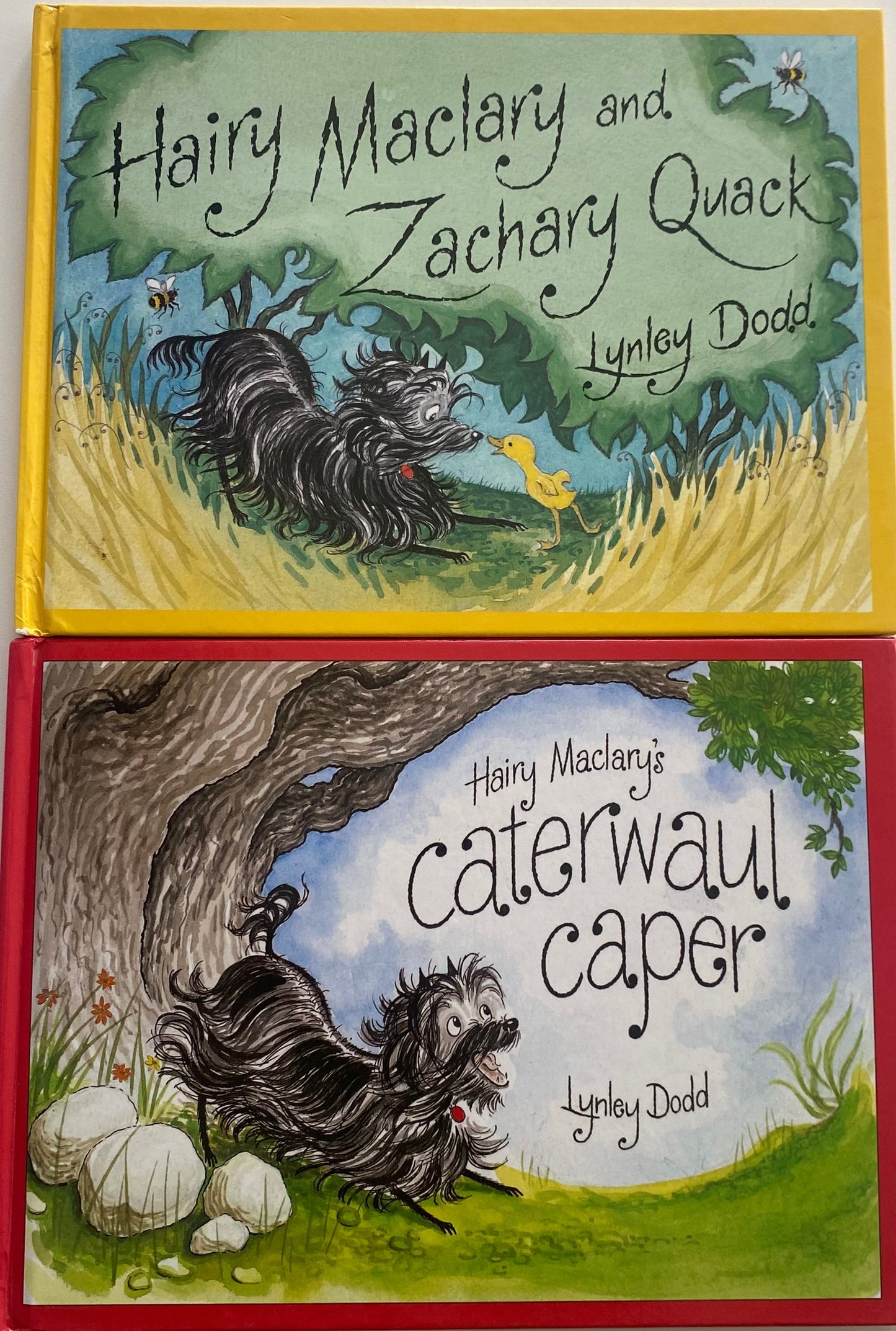 Lynley Dodd Hairy Maclary Book Bundle