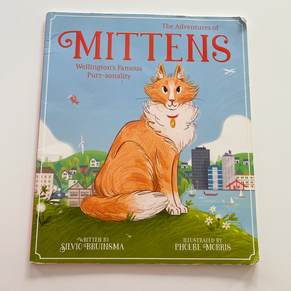 The Adventures Of Mittens Book