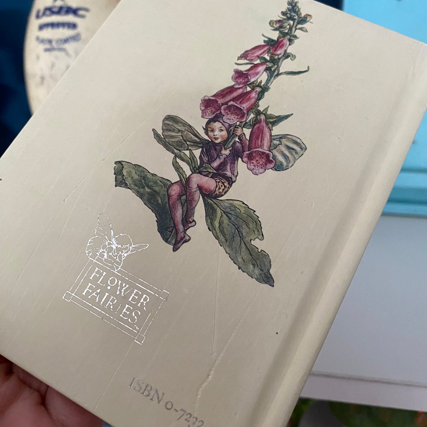 Flower Fairies Of The Summer Book