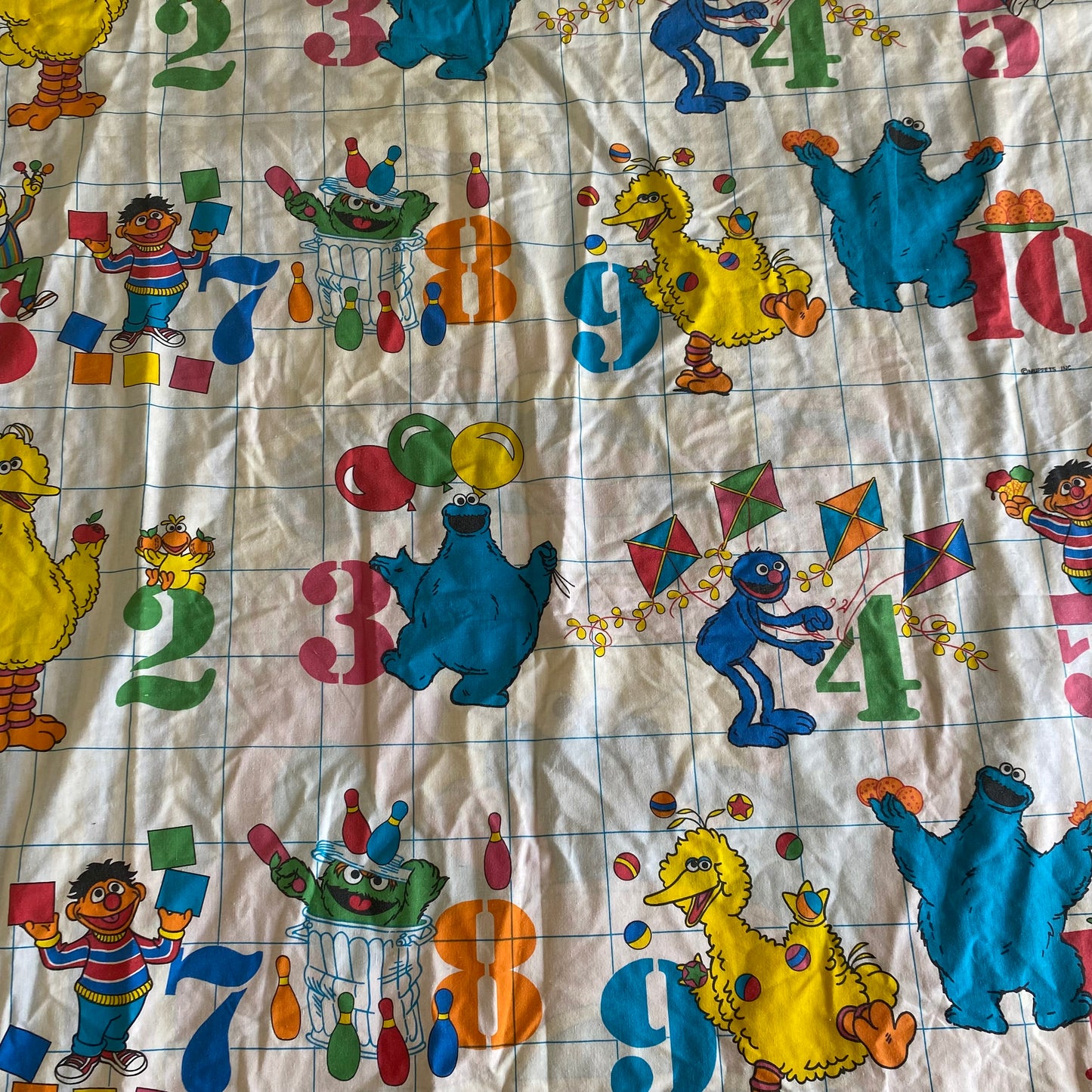 Sesame Street Vintage Reversible Single Duvet