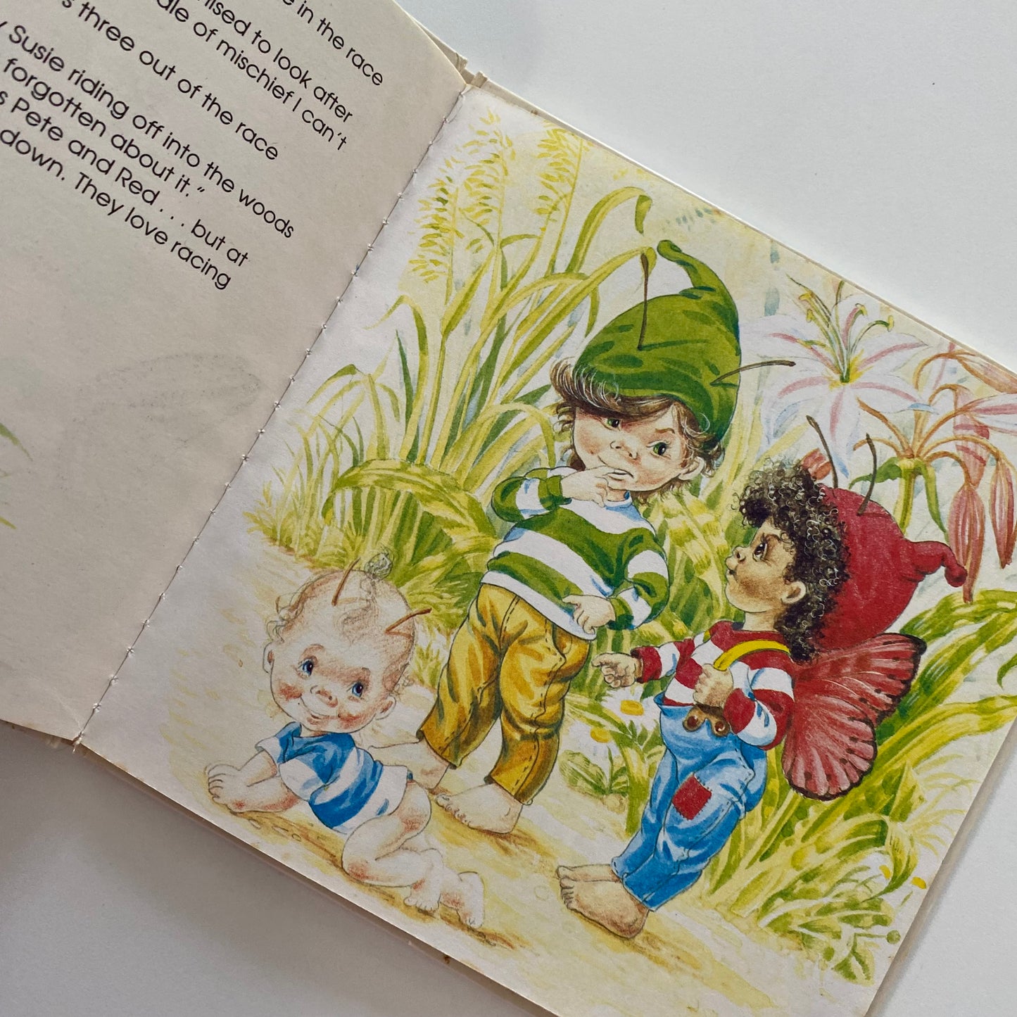The Butterfly Children The Big Race Book