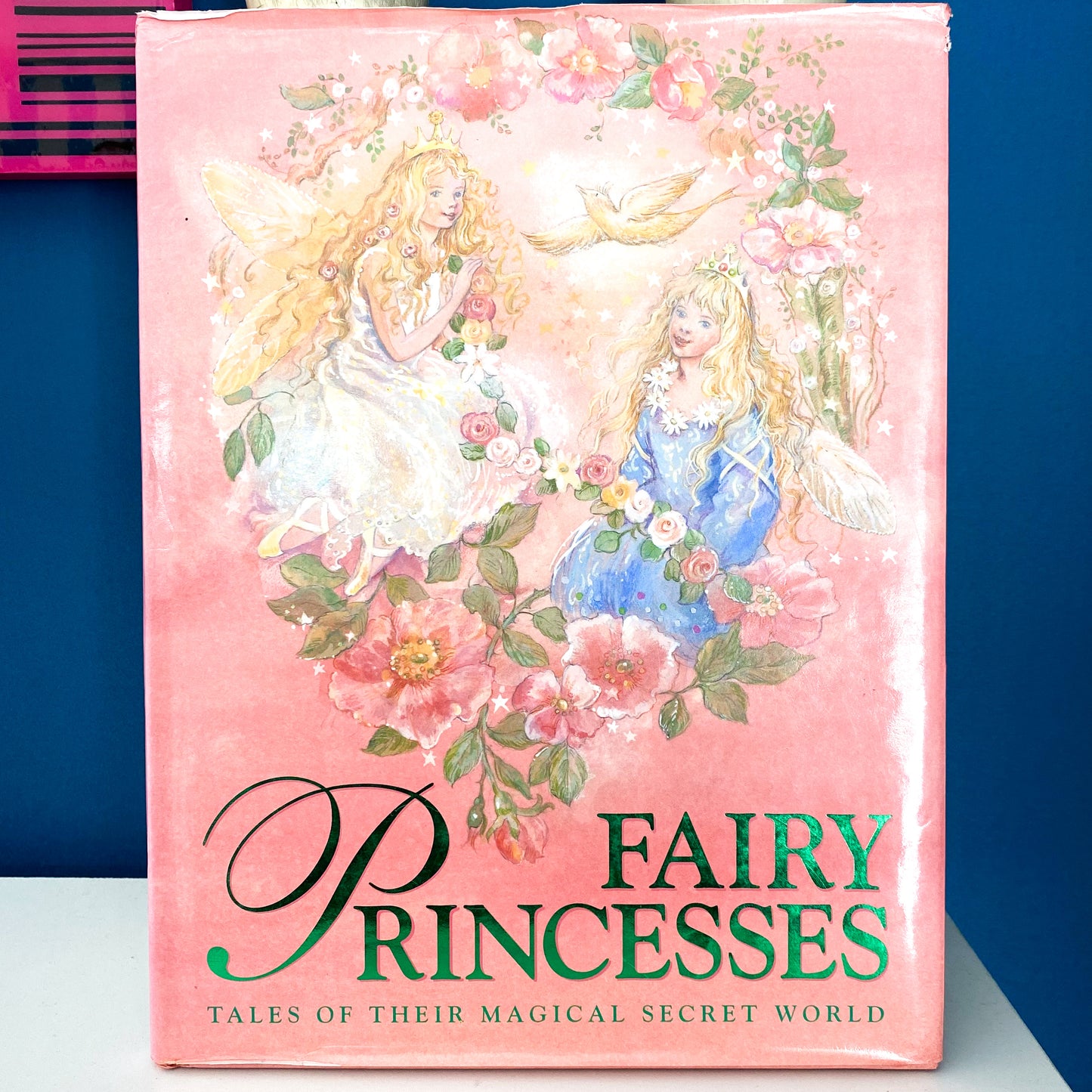 Fairy Princesses Book