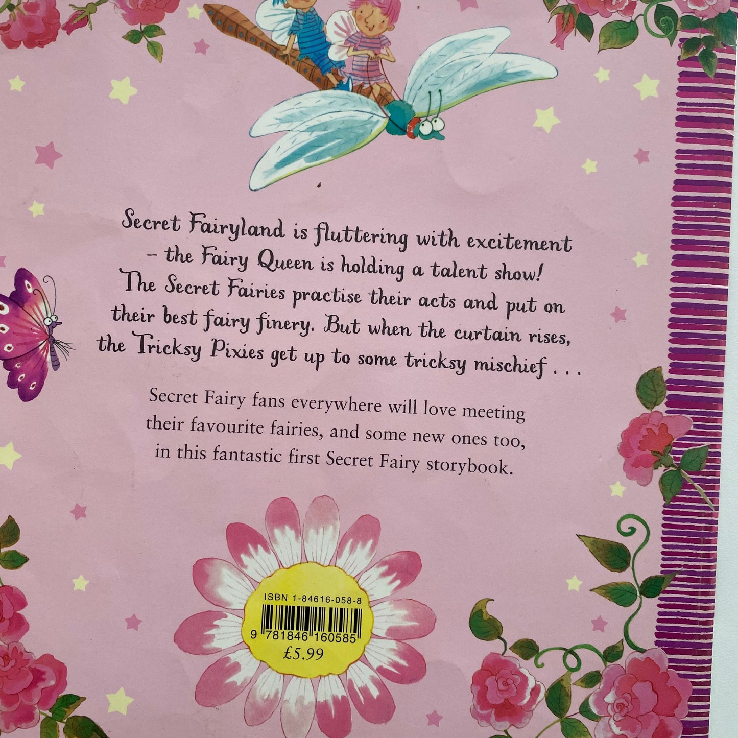 The Secret Fairies The Talent Show Book