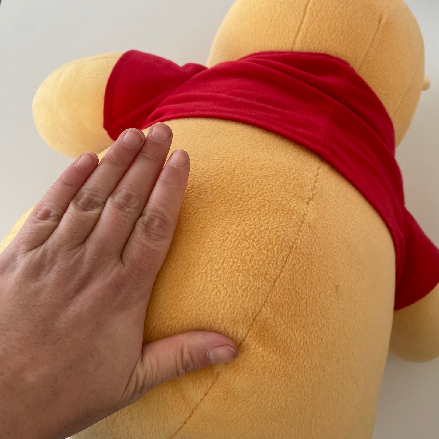 Large Winnie The Pooh Plush