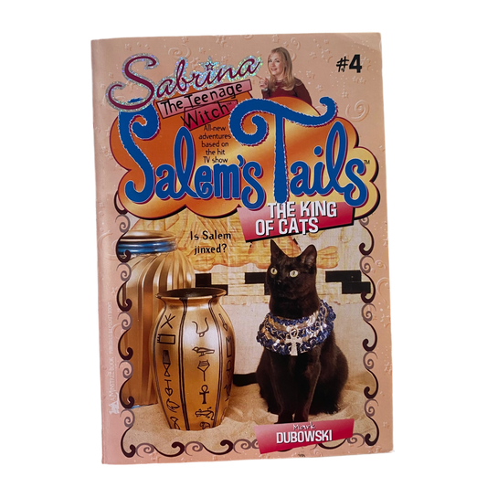 Sabrina The Teenage Witch Chapter Book