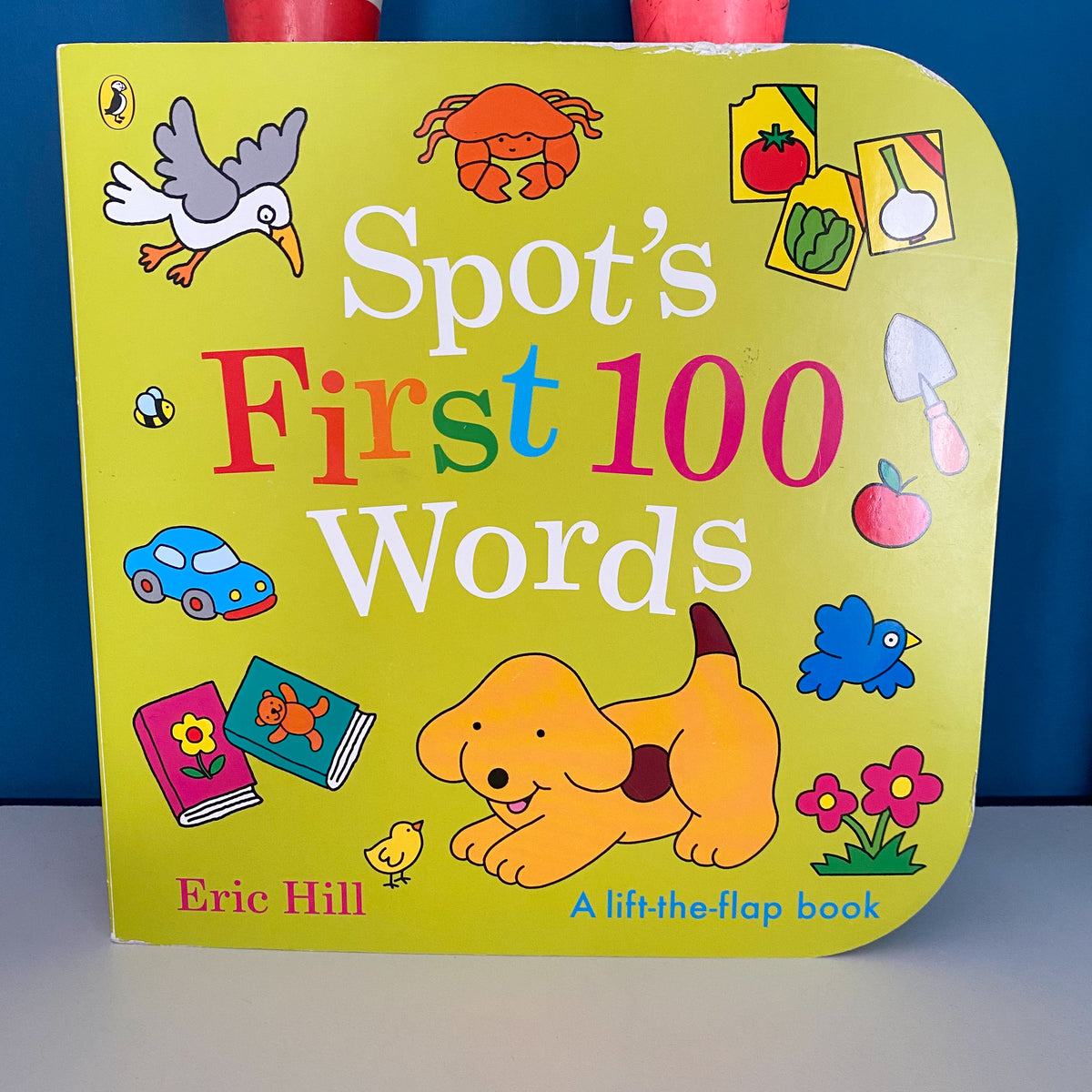 Spot’s First 100 Words Lift The Flap Board Book