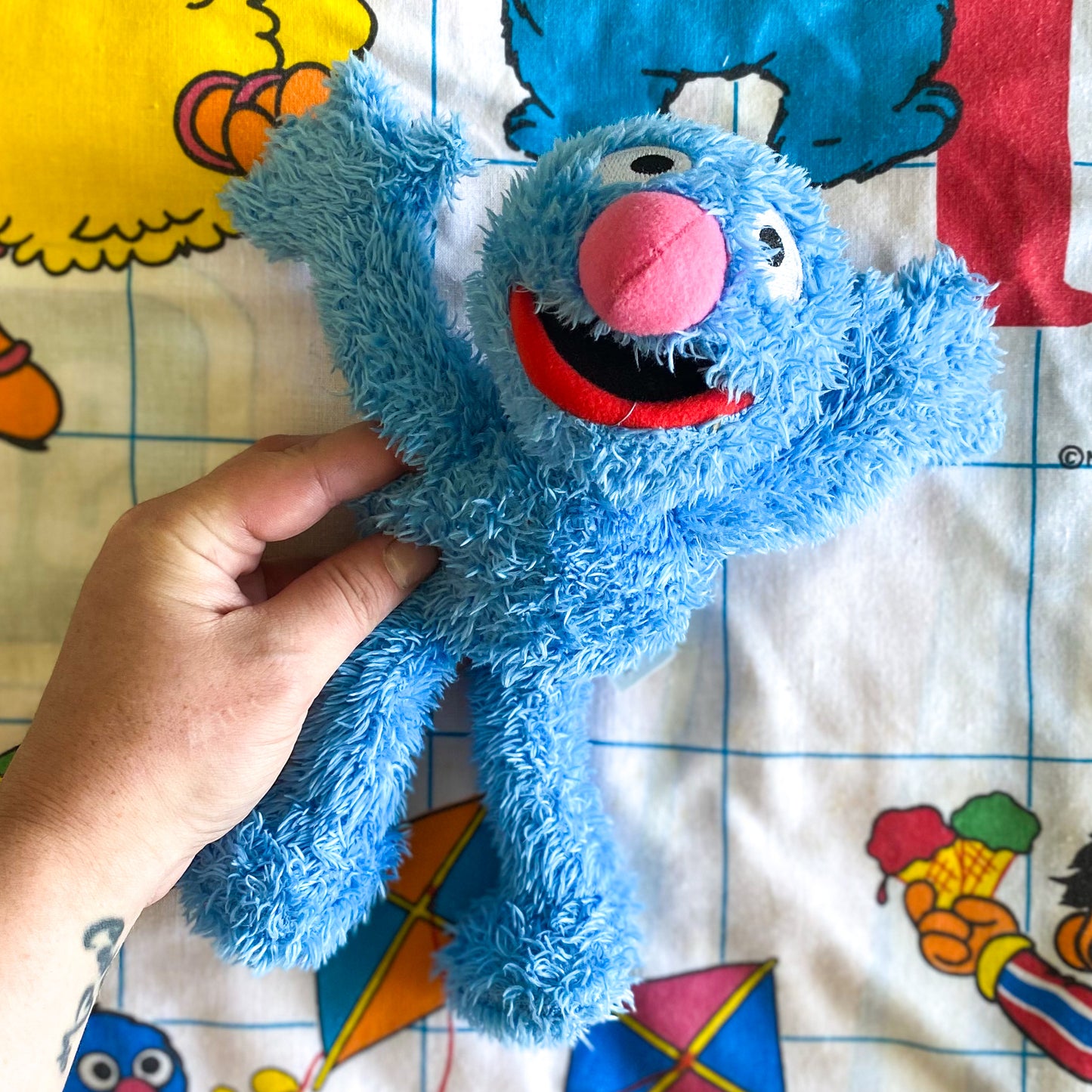 Sesame Street Grover Plush