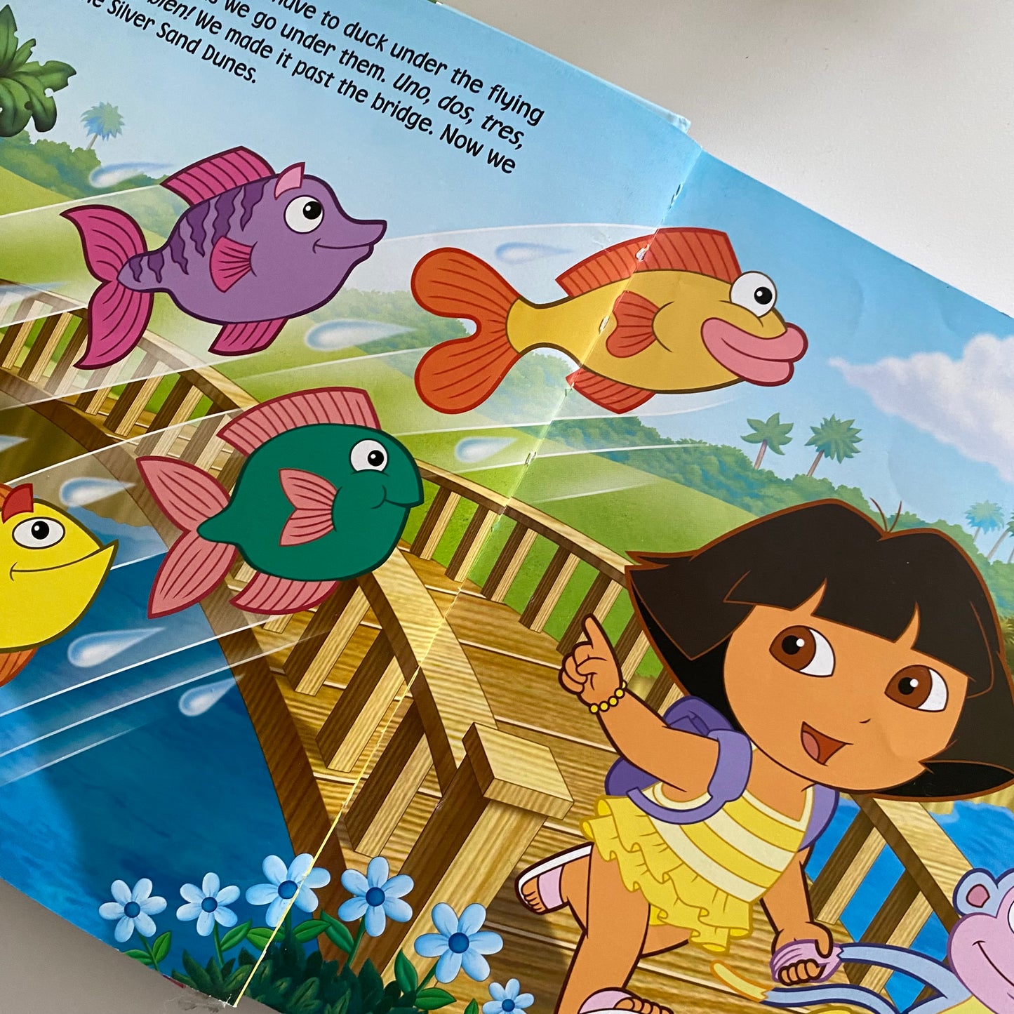 Book - Dora The Explorer Storybook Collection