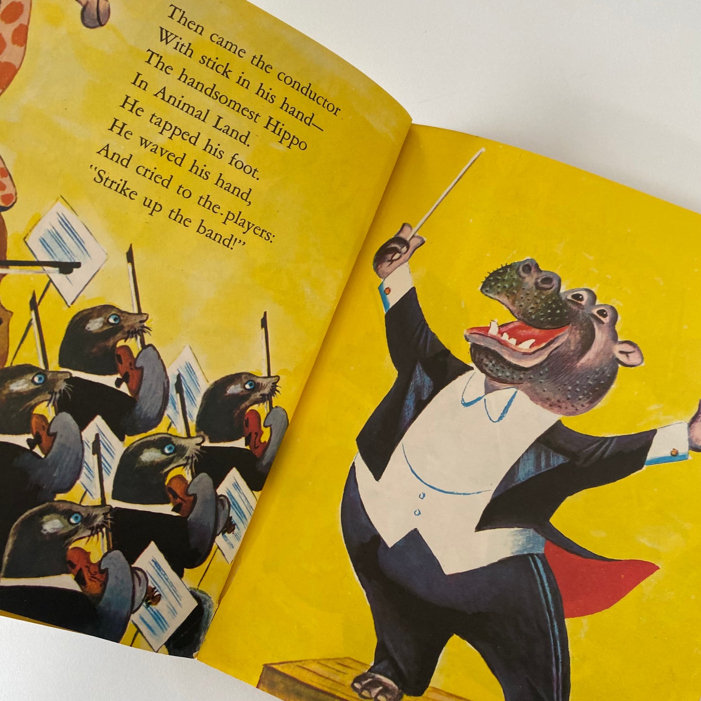 Book - Little Golden Animal Orchestra