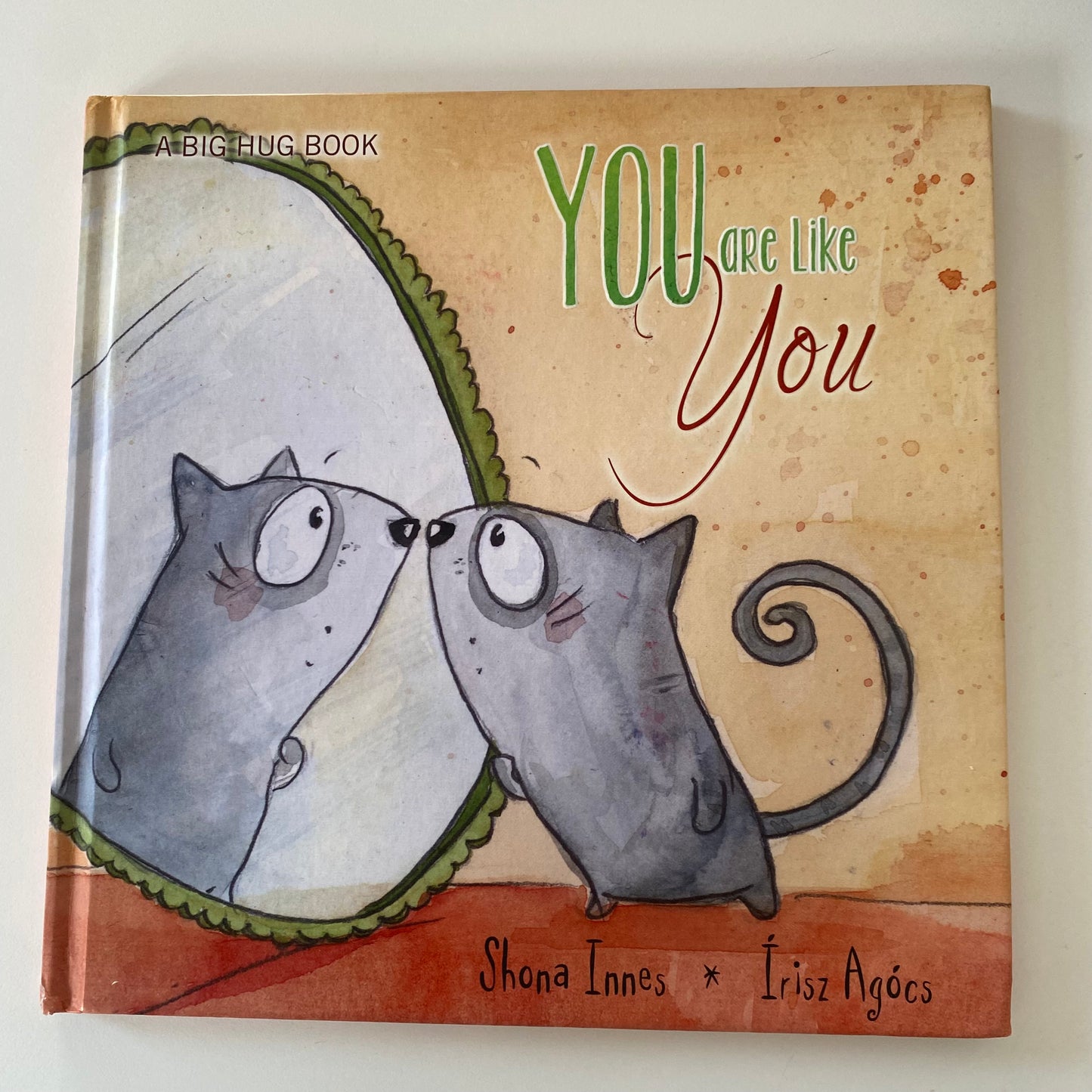 You Are Like You Book