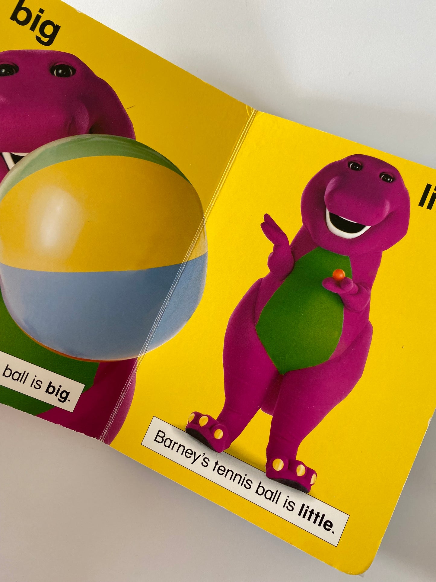 Barney’s Book Of Opposites