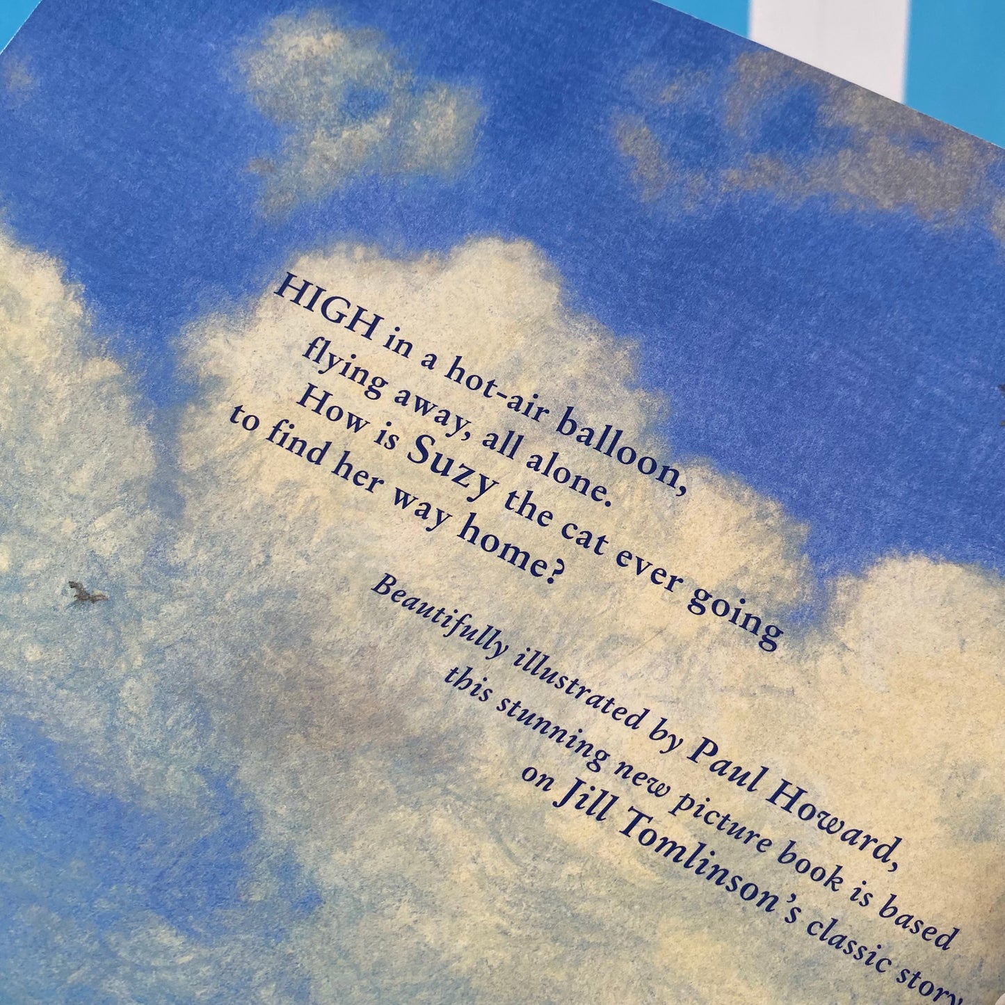 The Cat Who Wanted To Go Home Book