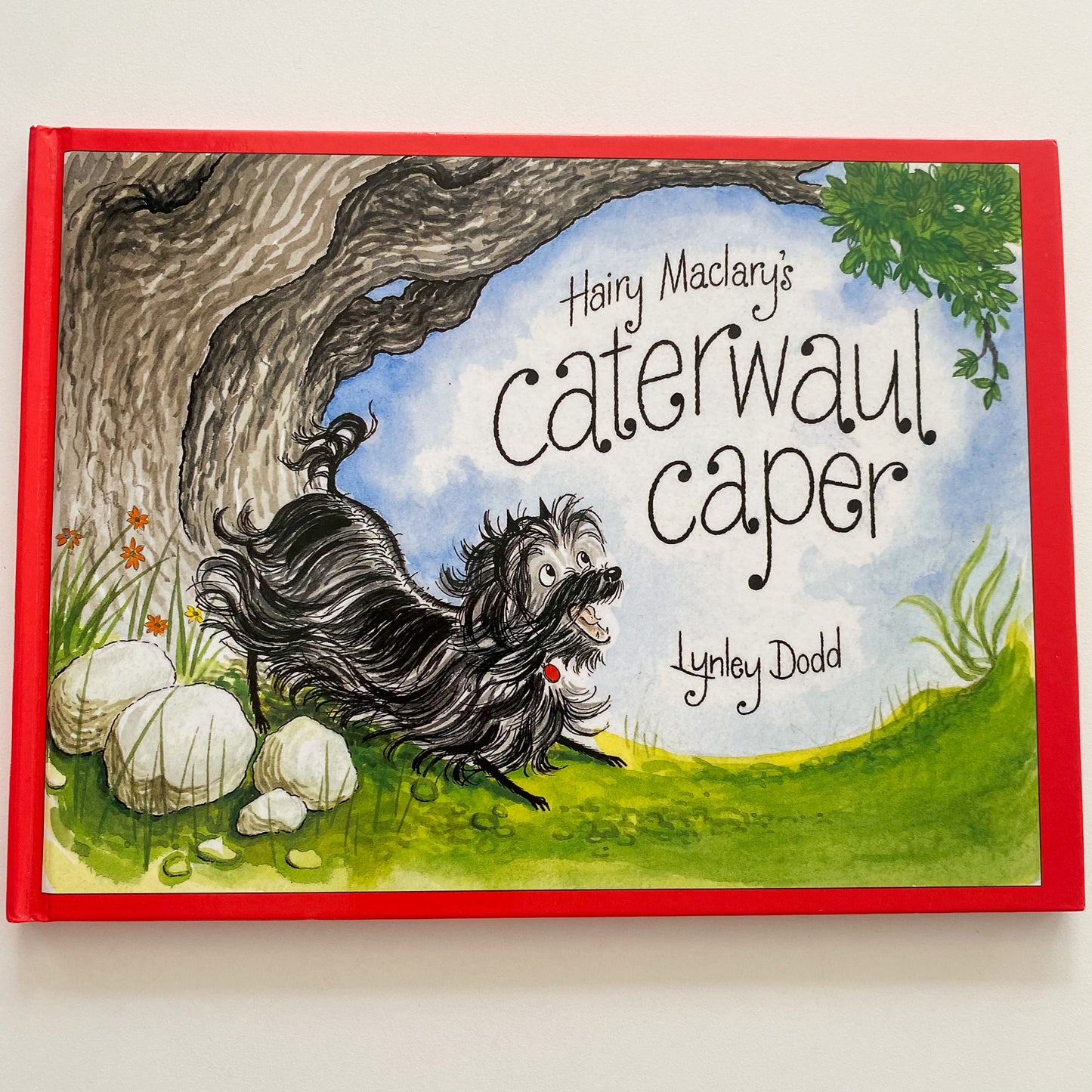 Lynley Dodd Hairy Maclary’s Caterwaul Caper Book