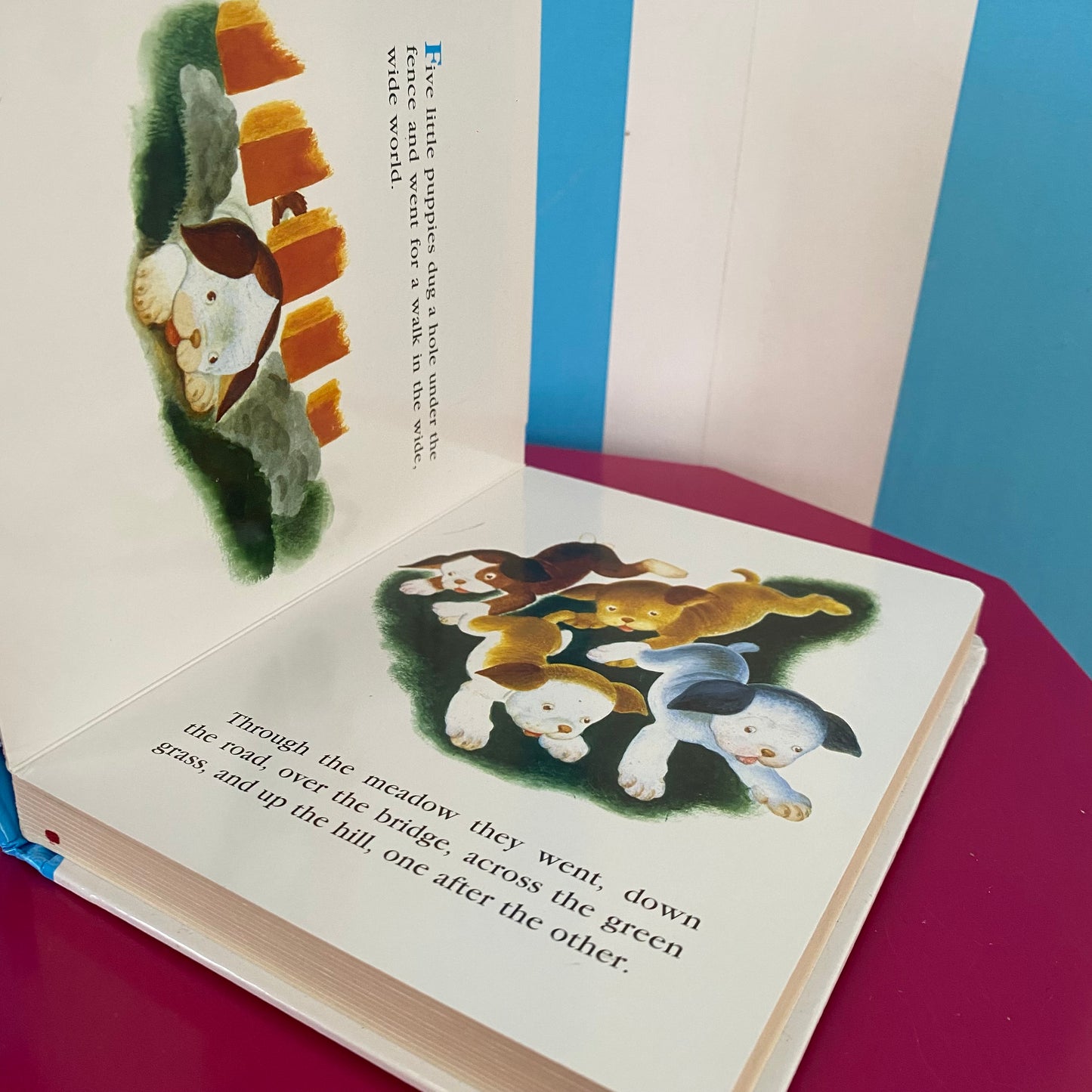 The Poky Little Puppy Book