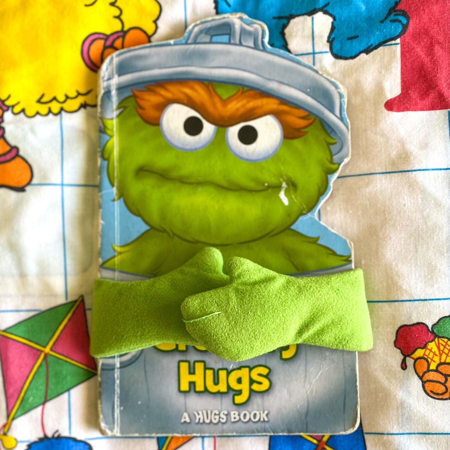 Sesame Street Hugs Book