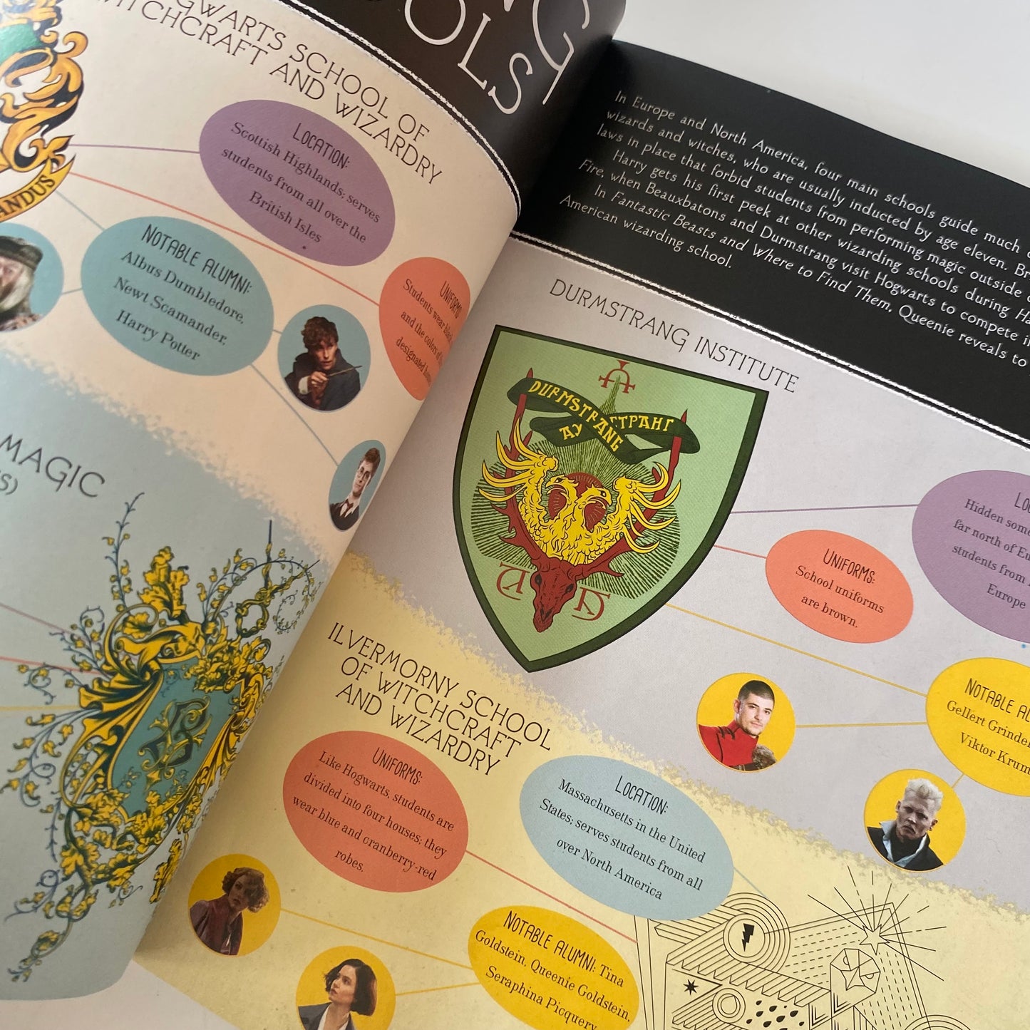 Harry Potter & Fantastic Beasts Book