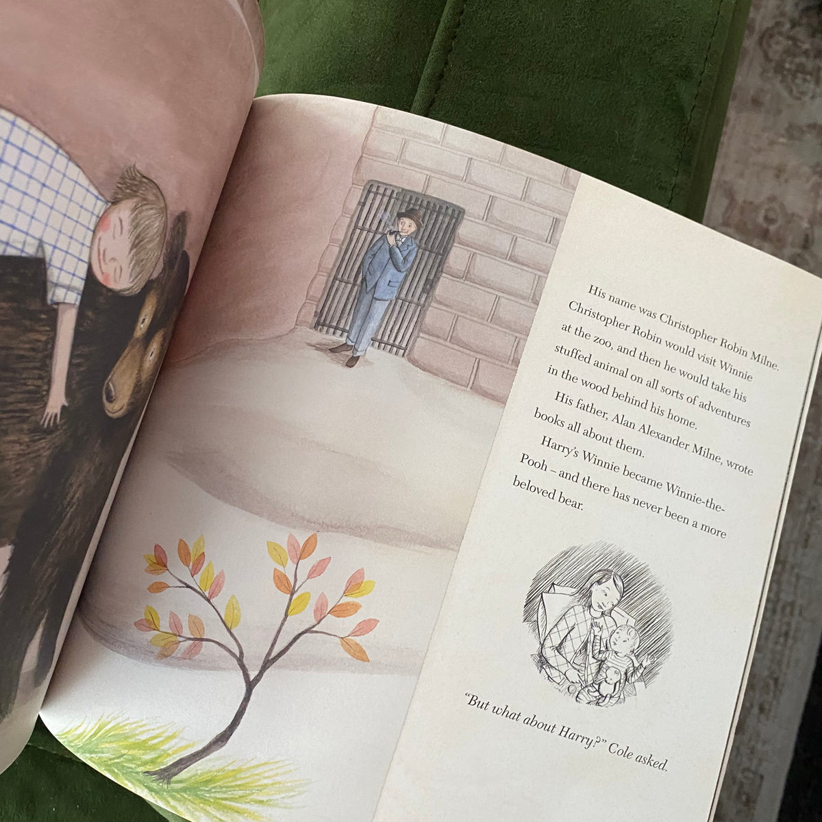 Winnie The Pooh Finding Winnie Book