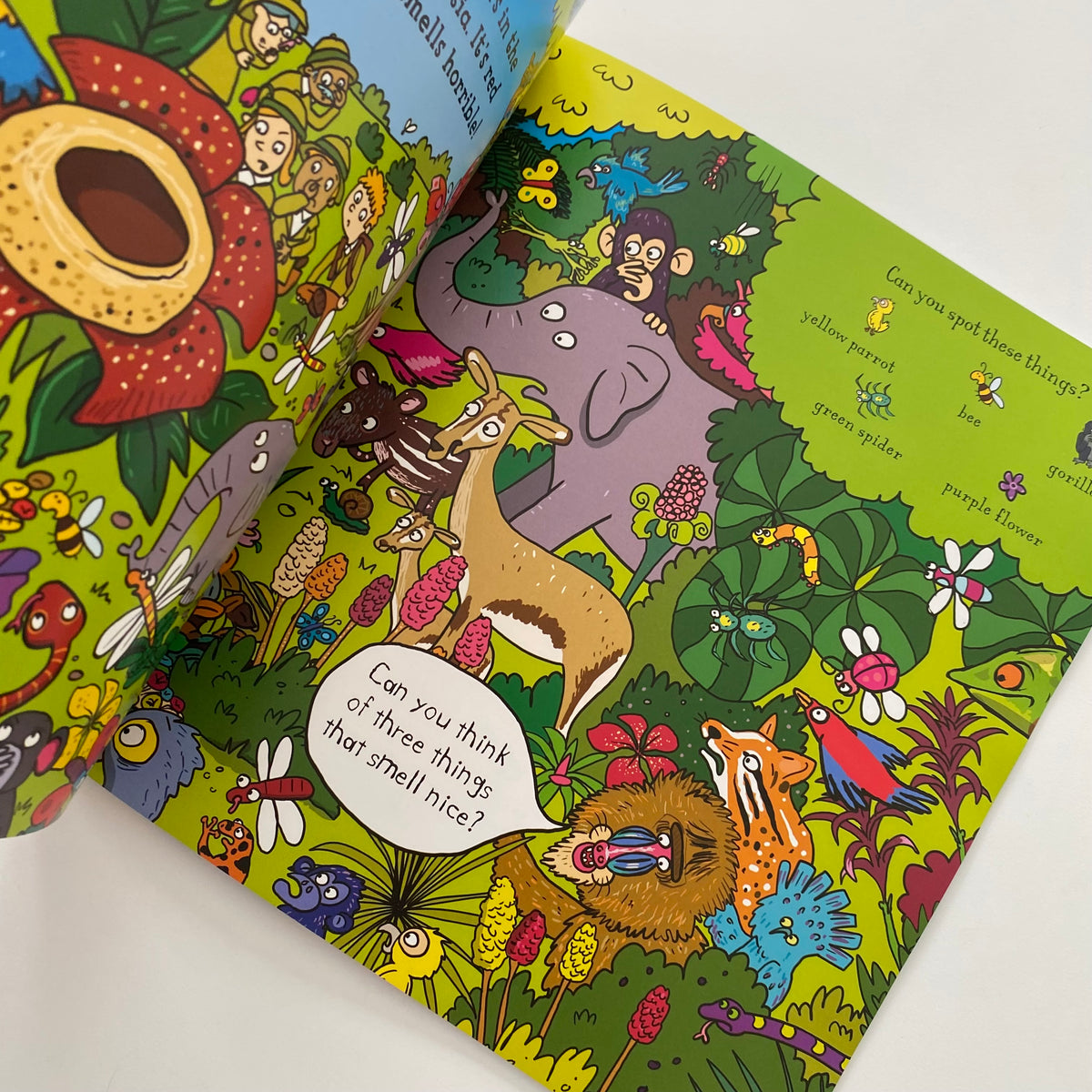 Spot The Monkey In The Jungle Book