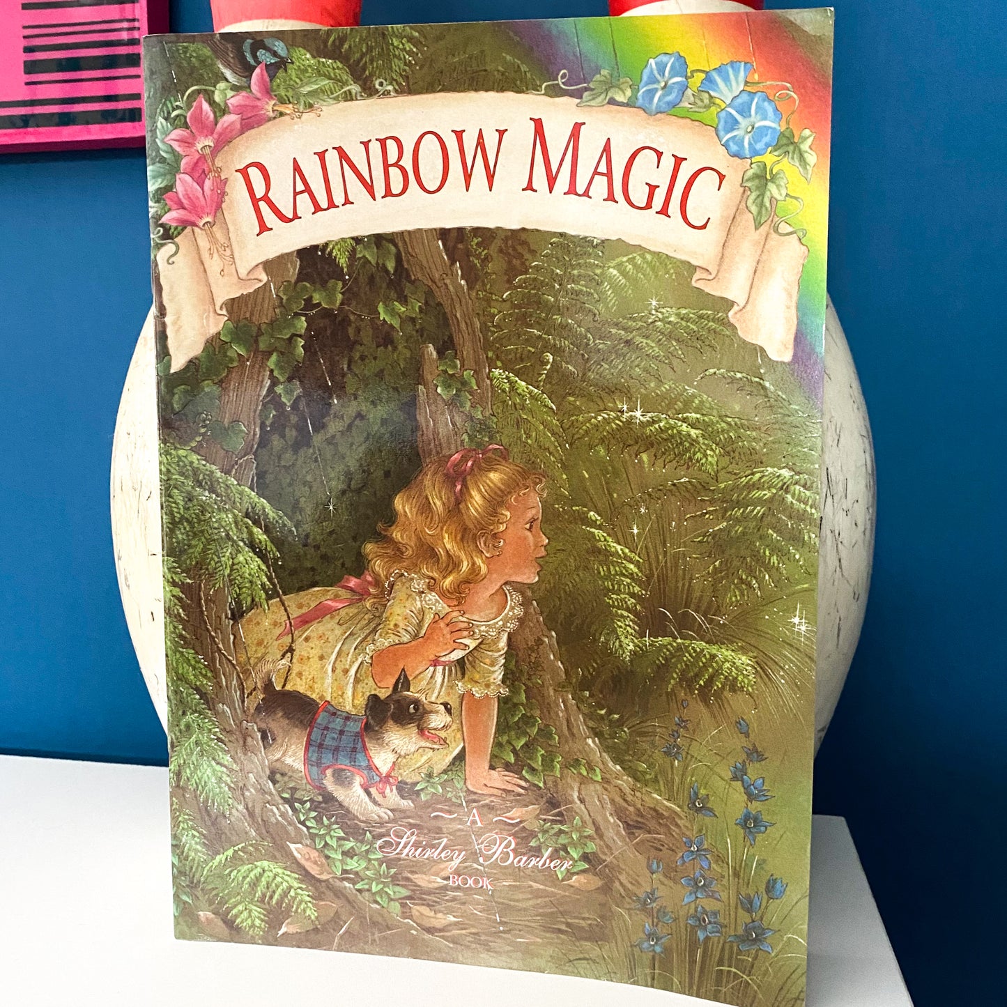 Shirley Barber Rainbow Magic Book