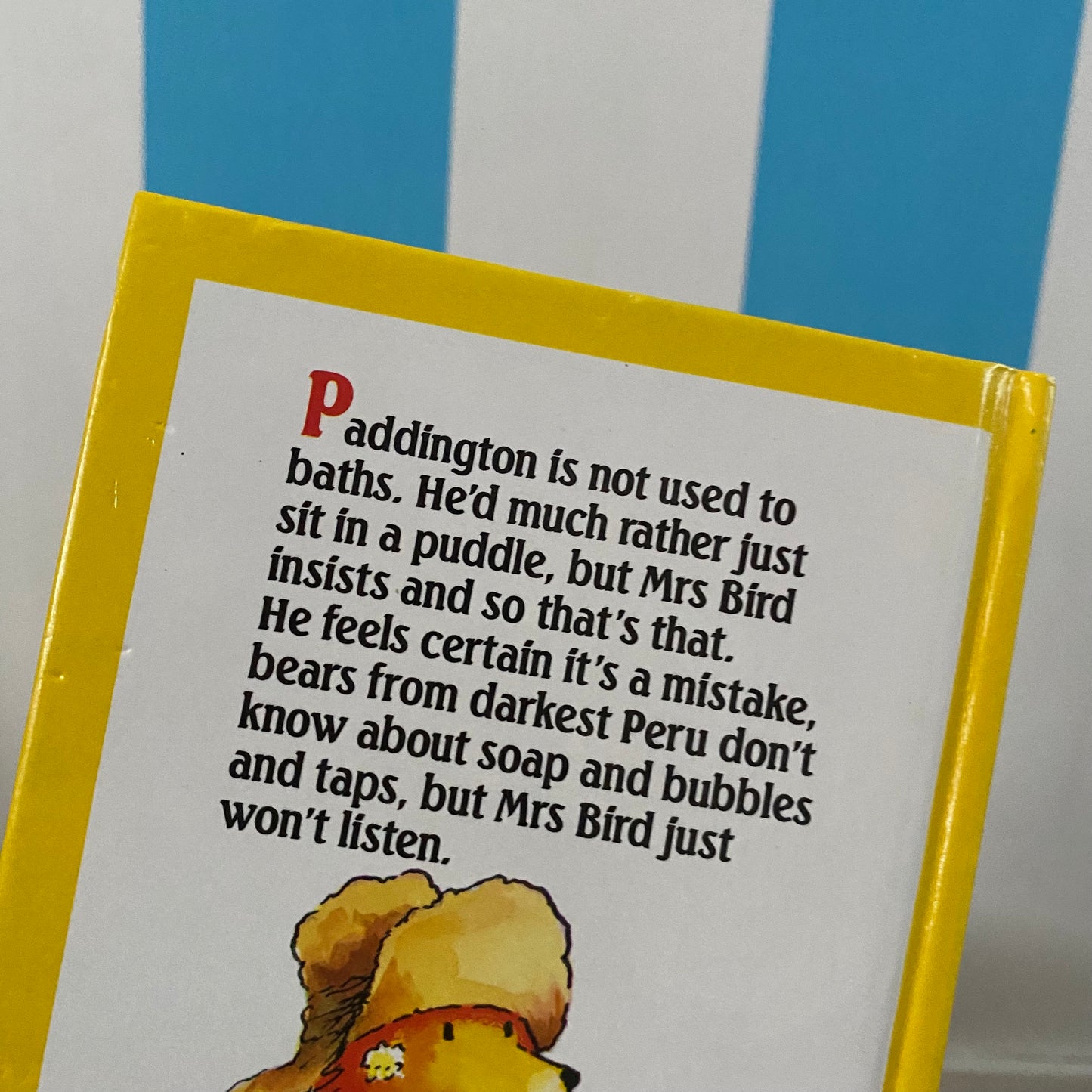 Paddington Takes A Bath Book