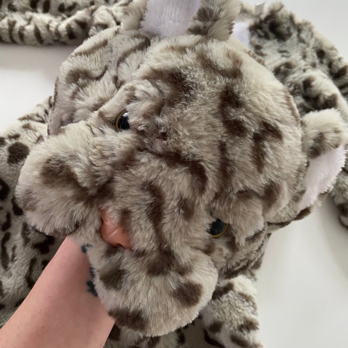 Cat Costume - Size 2-4Y