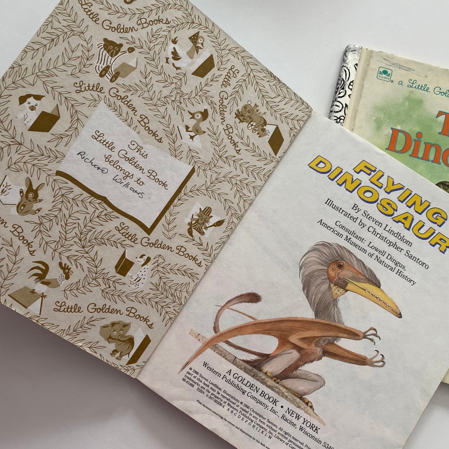 Dinosaur Little Golden Book Bundle