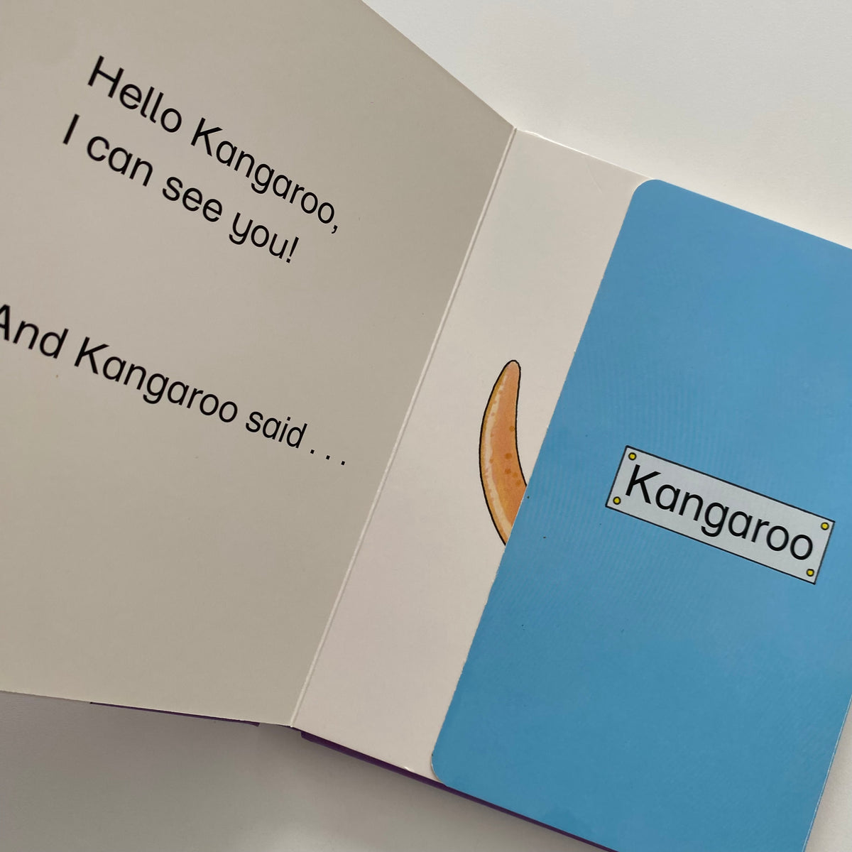 Rod Campbell The Boo! Zoo Lift The Flap Book