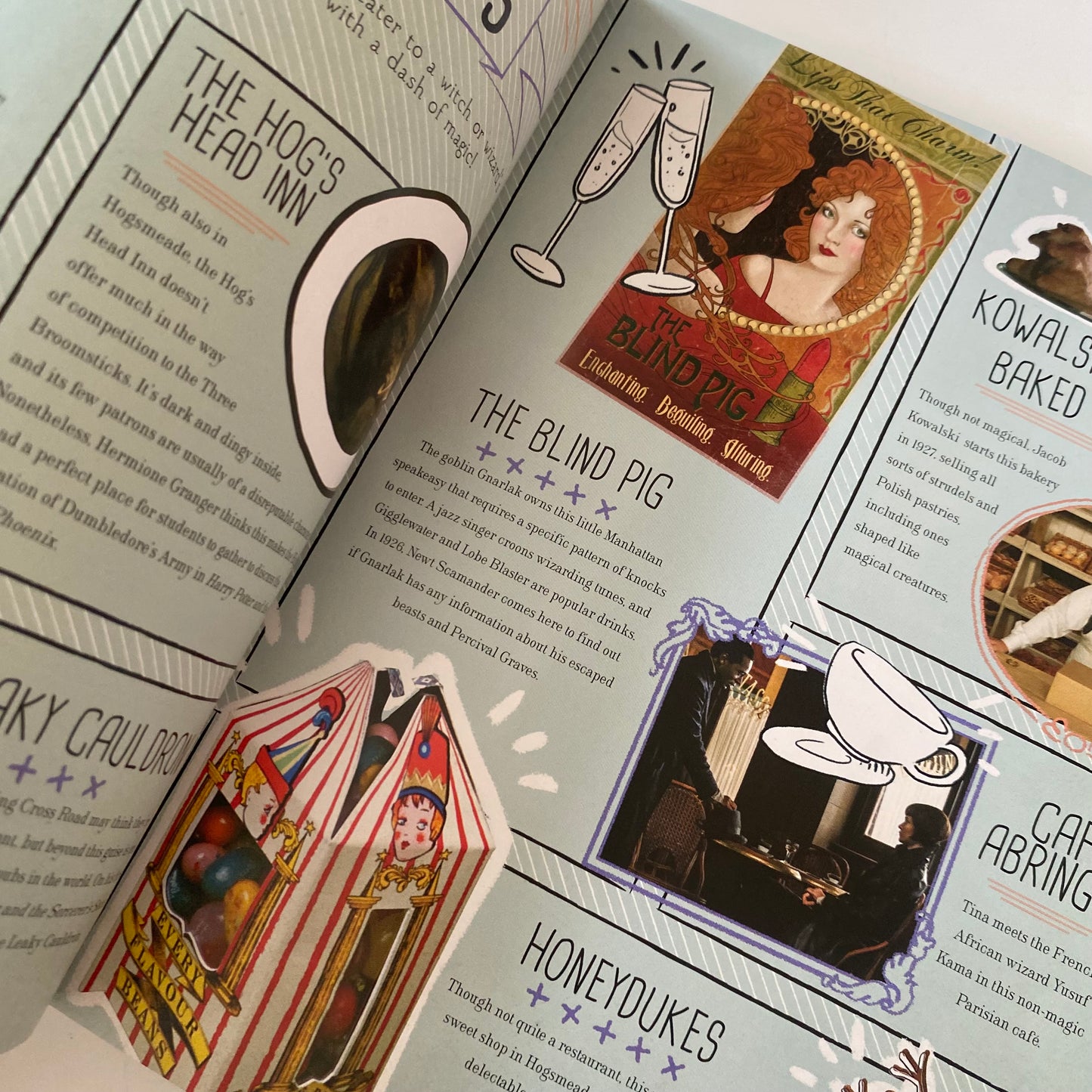 Harry Potter & Fantastic Beasts Book