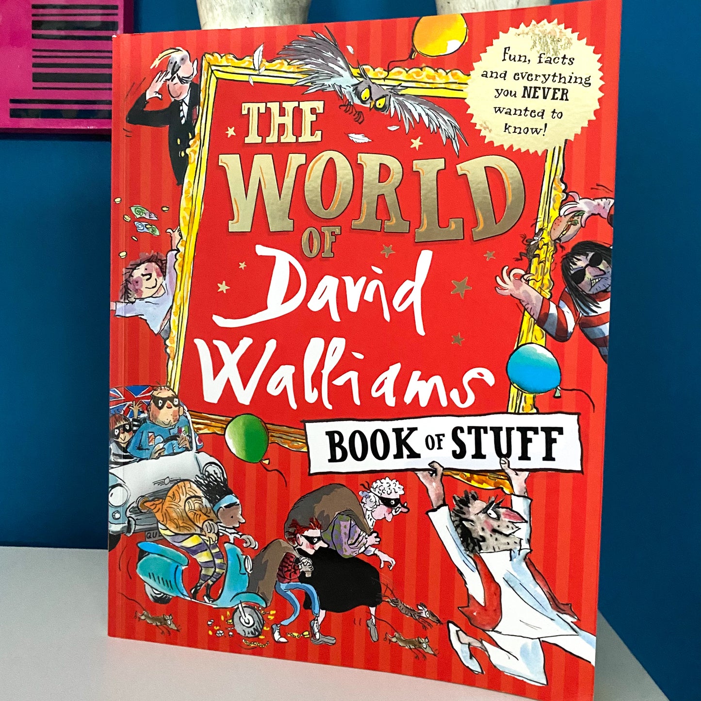 The World Of David Williams Book Of Stuff