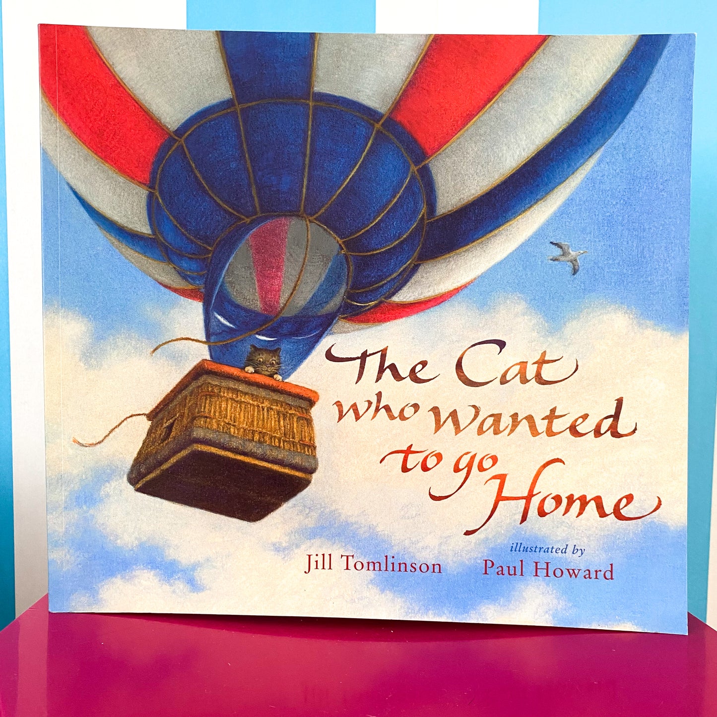 The Cat Who Wanted To Go Home Book
