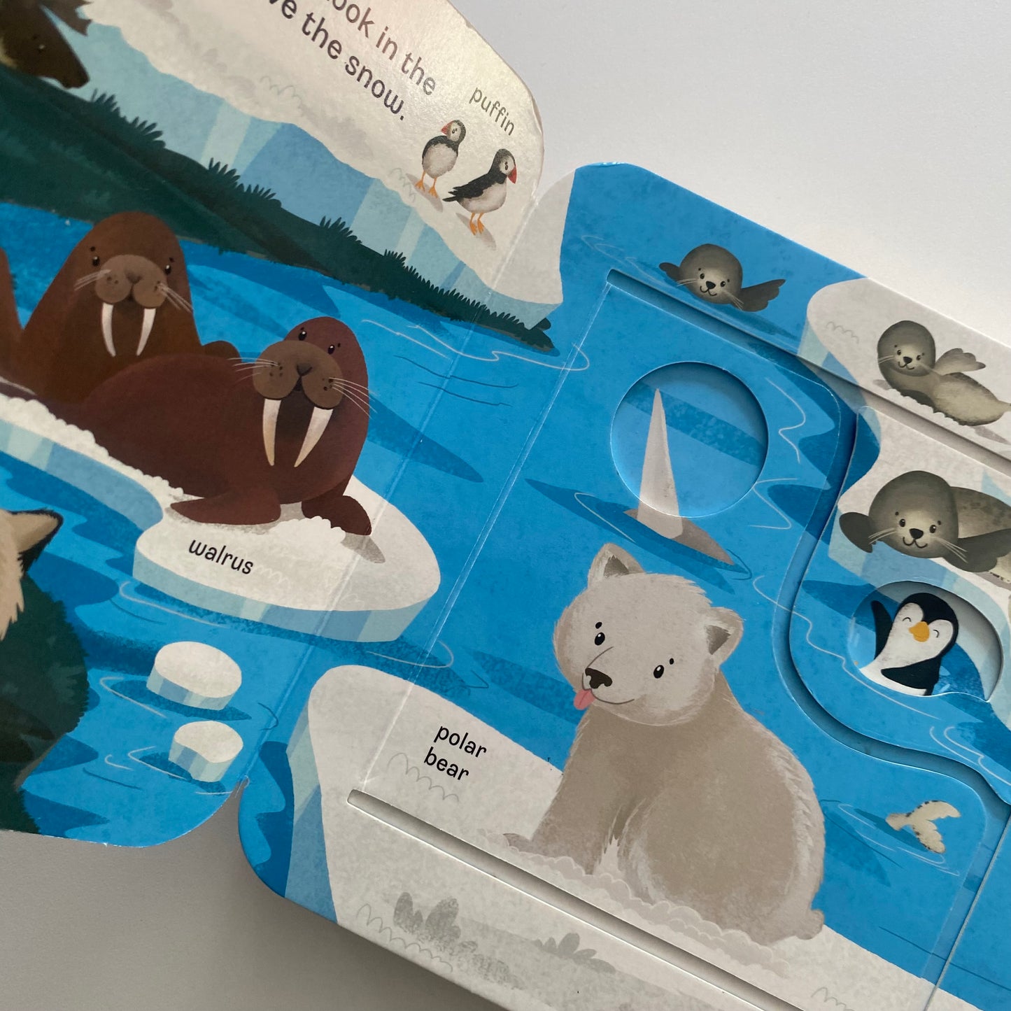 Peek-A-Flap Zoo Board Book