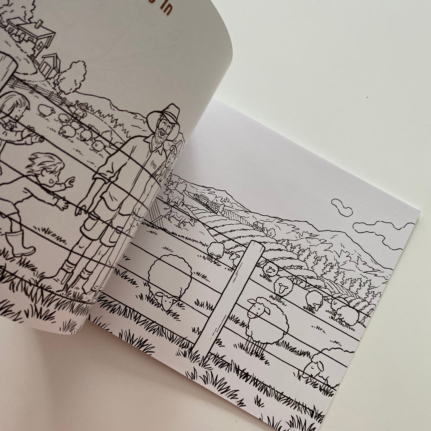 Paddy The Post NZ Rural Book (NEW)