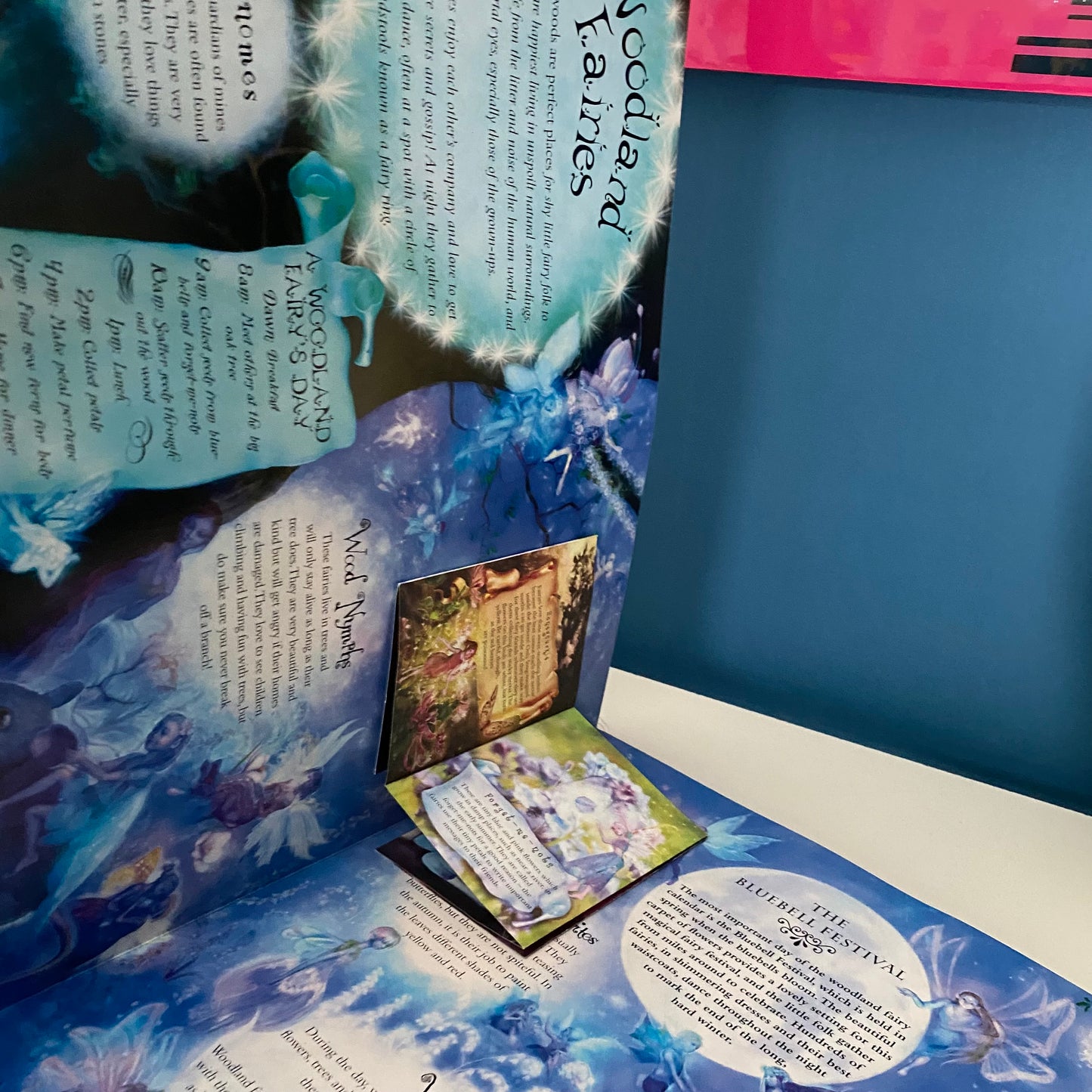 Fairies A Magical Guide To The Enchanted Relem Book