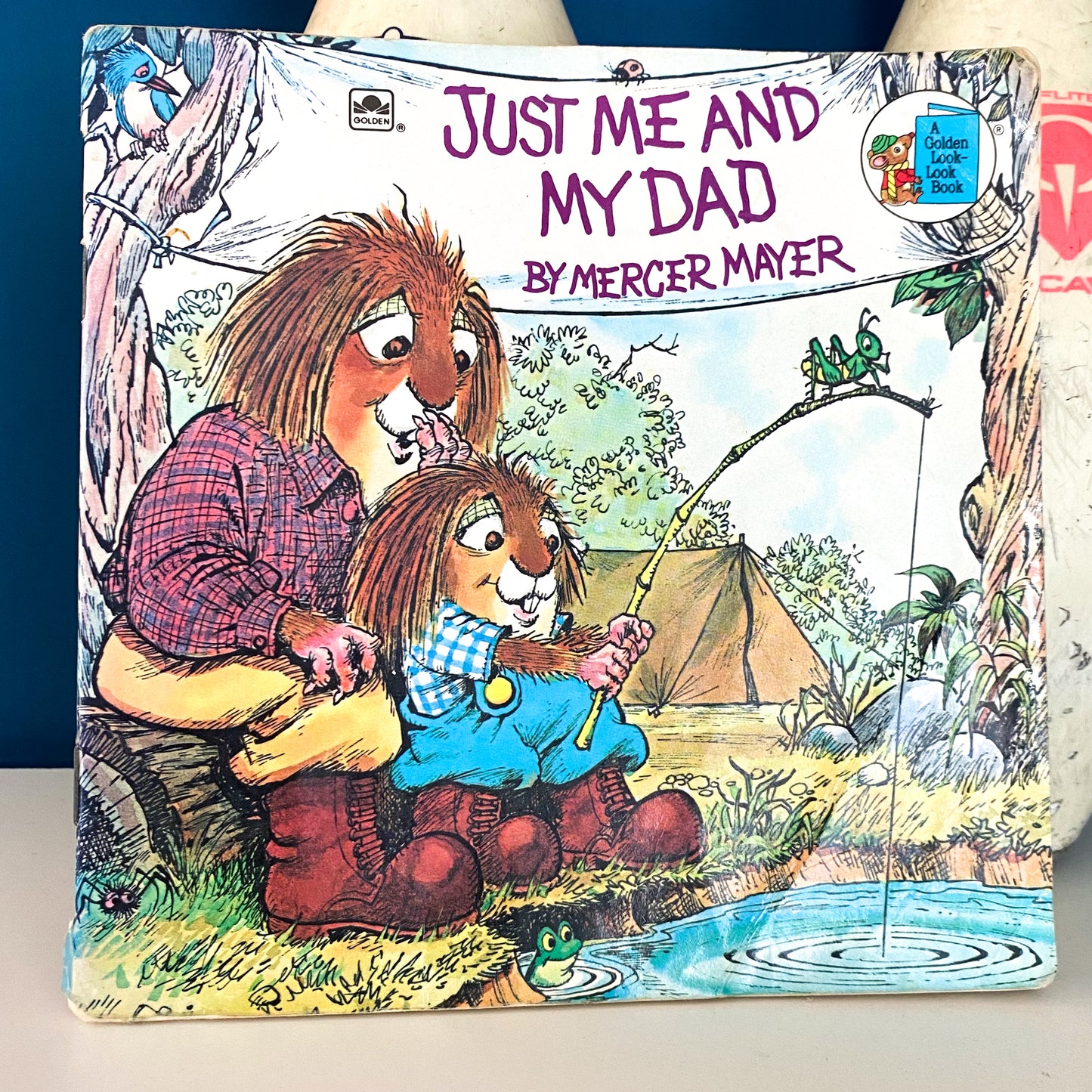 Mercer Mayer Little Critters Just Me & My Dad Book
